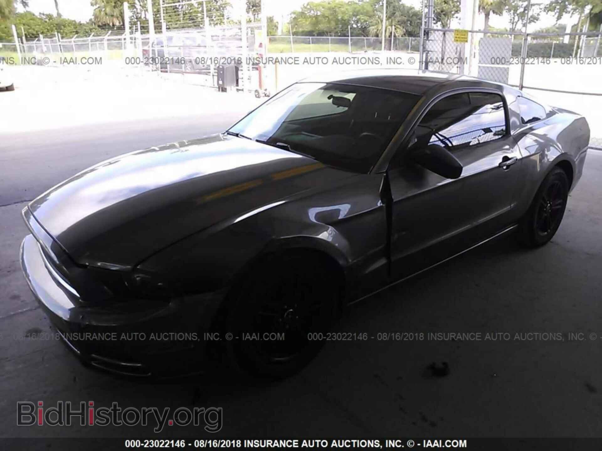 2014 Ford Mustang - VIN: 1ZVBP8AM9E5282358 - Фото 2