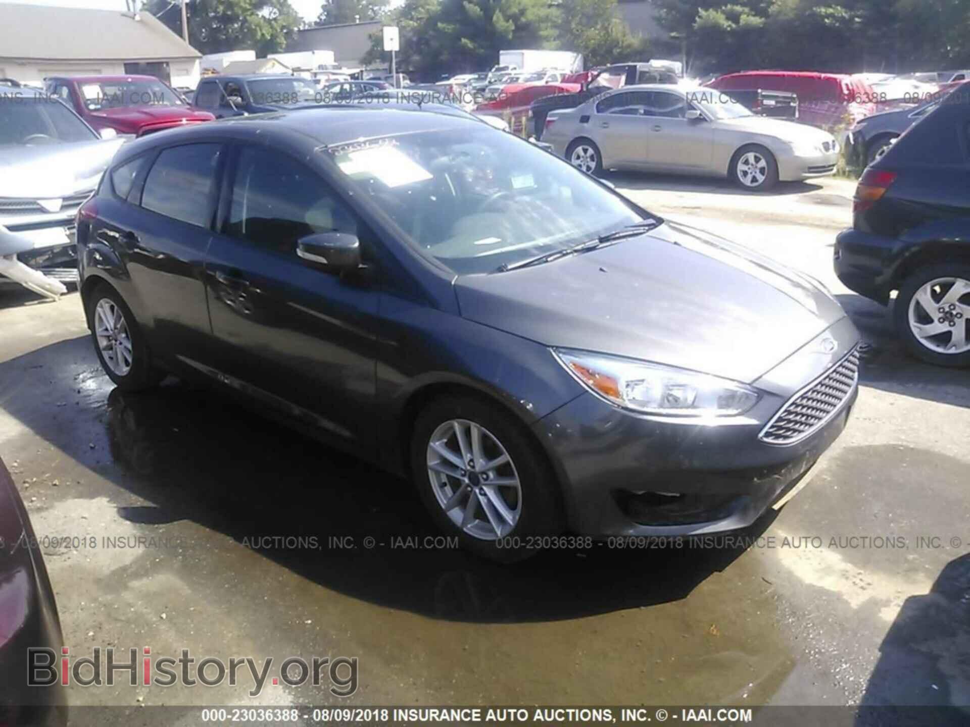 Photo 1FADP3K23GL214203 - Ford Focus 2016