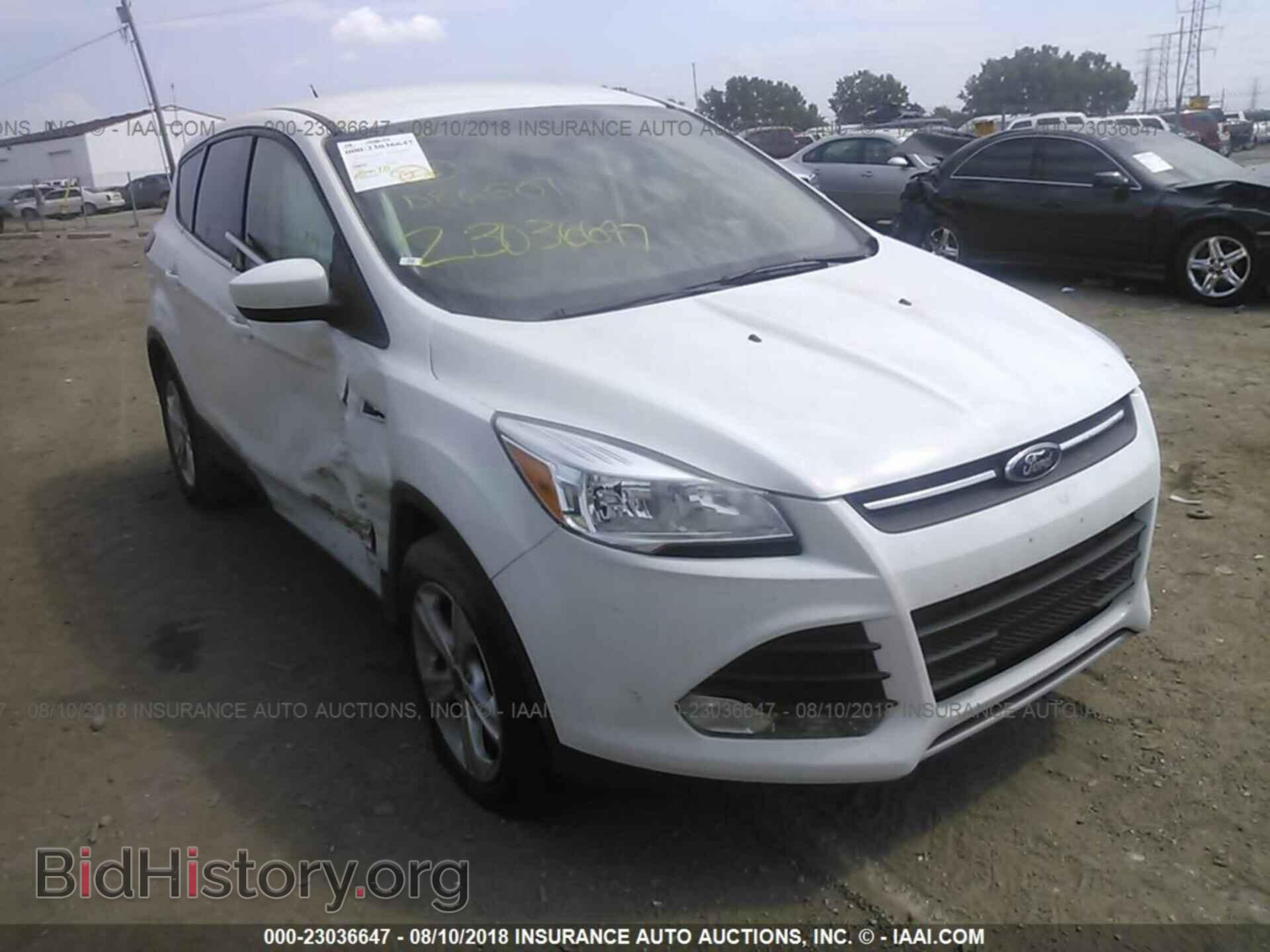 Photo 1FMCU0GX9EUD86501 - Ford Escape 2014