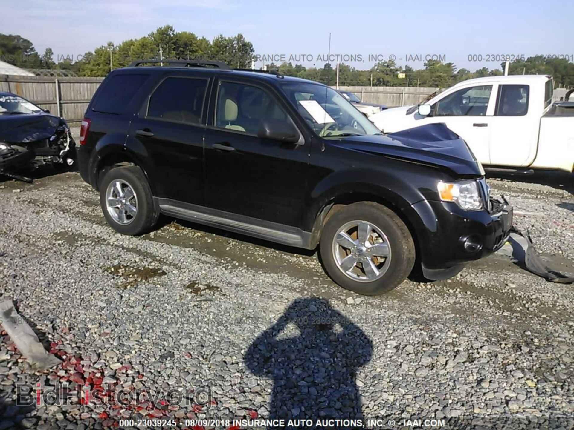 Фотография 1FMCU0DG3BKB63446 - Ford Escape 2011