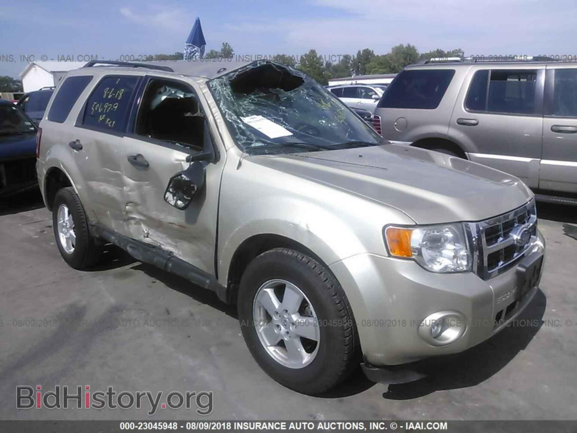 Фотография 1FMCU0D70BKB33501 - Ford Escape 2011
