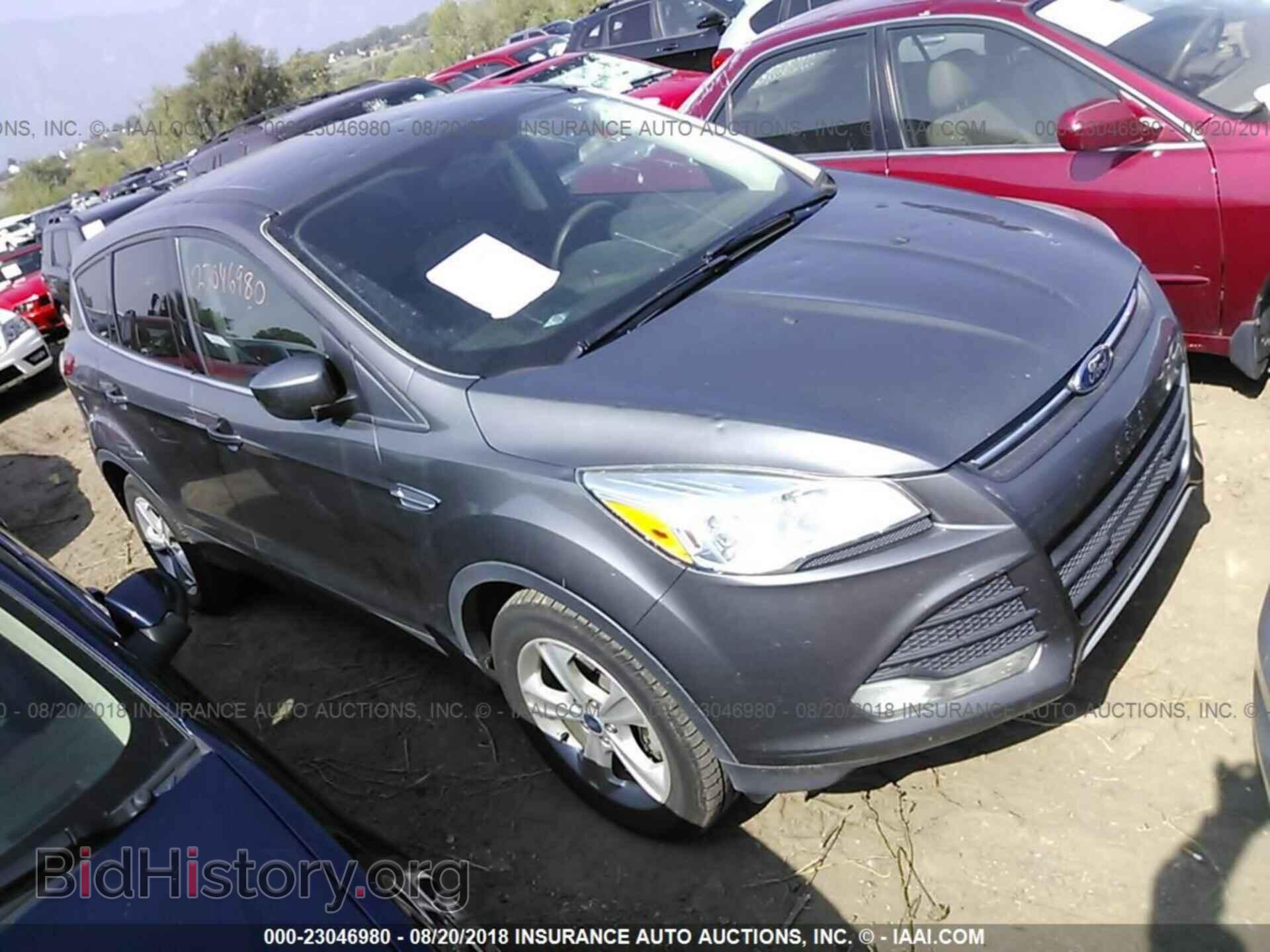 Фотография 1FMCU0GX1DUD14948 - Ford Escape 2013