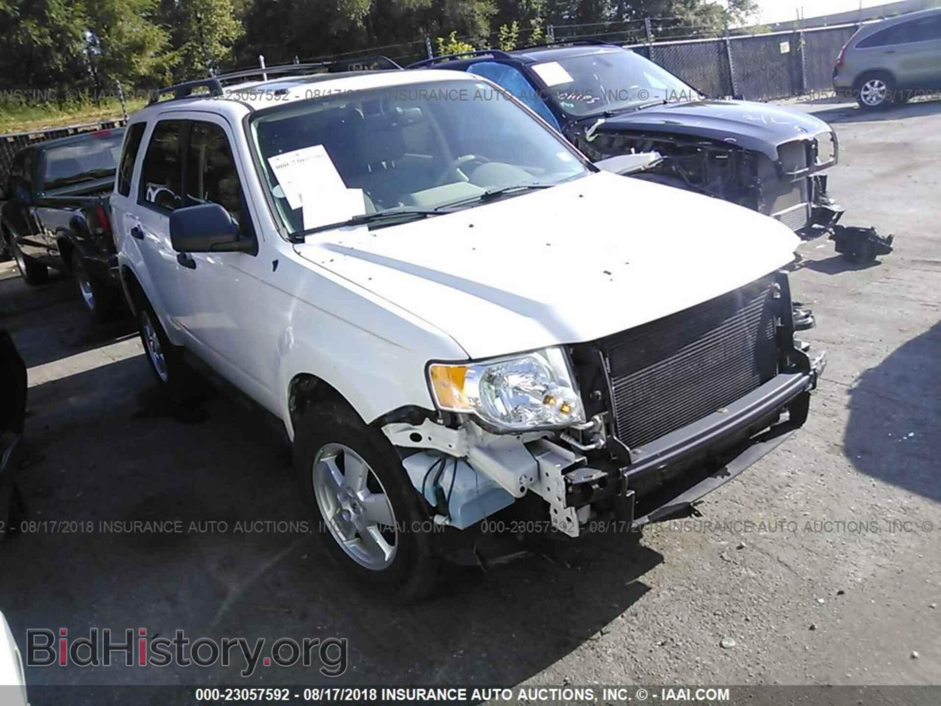 Фотография 1FMCU0D74BKB84032 - Ford Escape 2011
