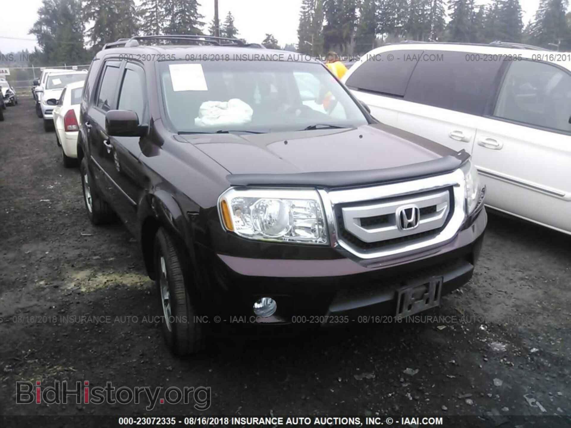 Фотография 5FNYF4H71BB059587 - Honda Pilot 2011