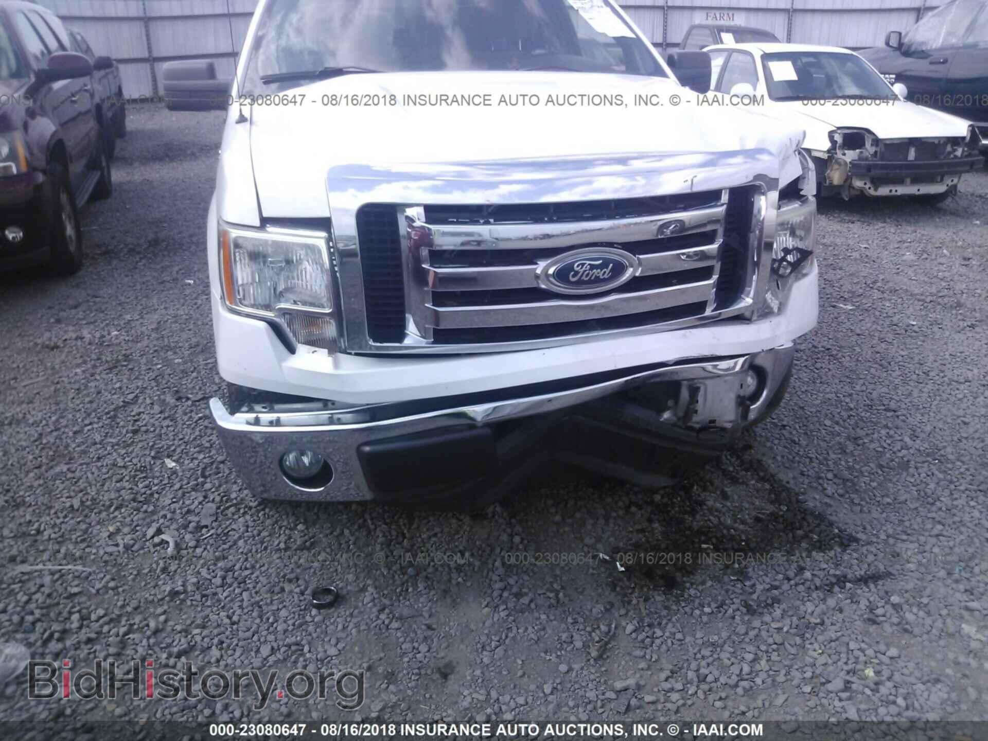 2011 Ford F150 - VIN: 1FTFX1CF1BFC07833 - Фото 6