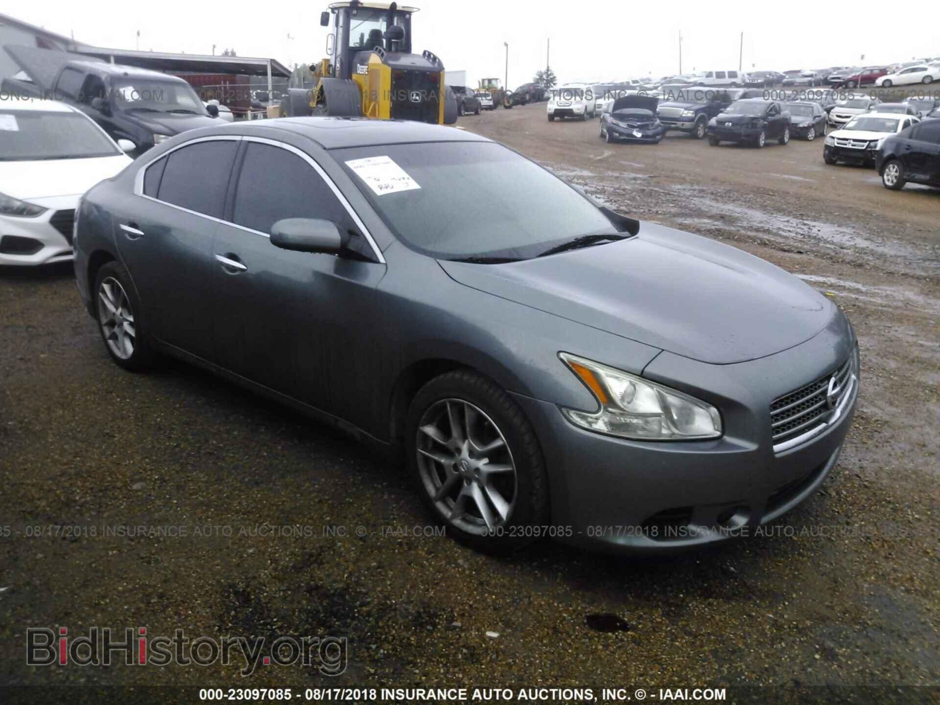 Фотография 1N4AA5AP1BC842413 - Nissan Maxima 2011