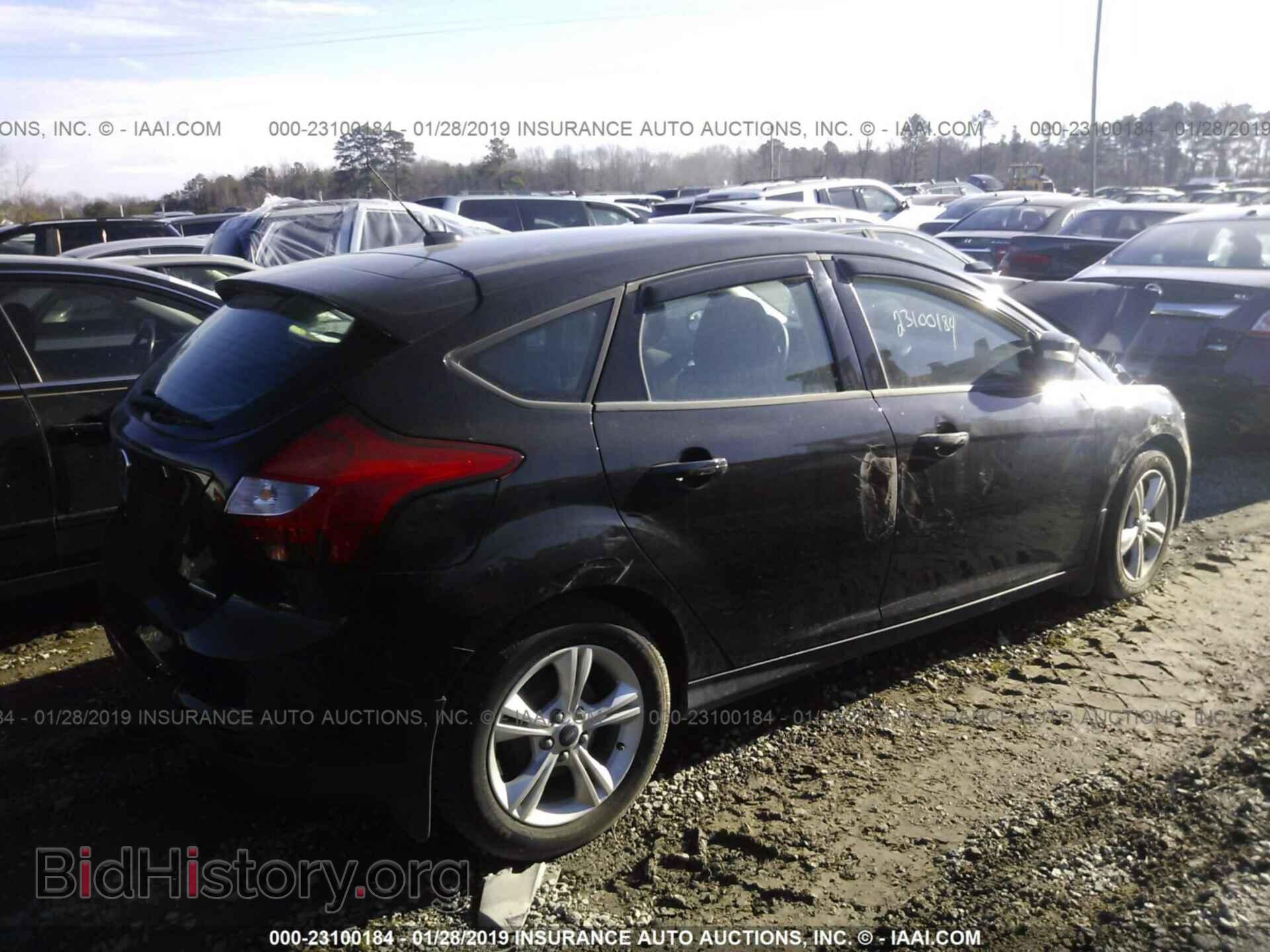 2013 FORD FOCUS - VIN: 1FADP3K24DL104868 - Фото 2