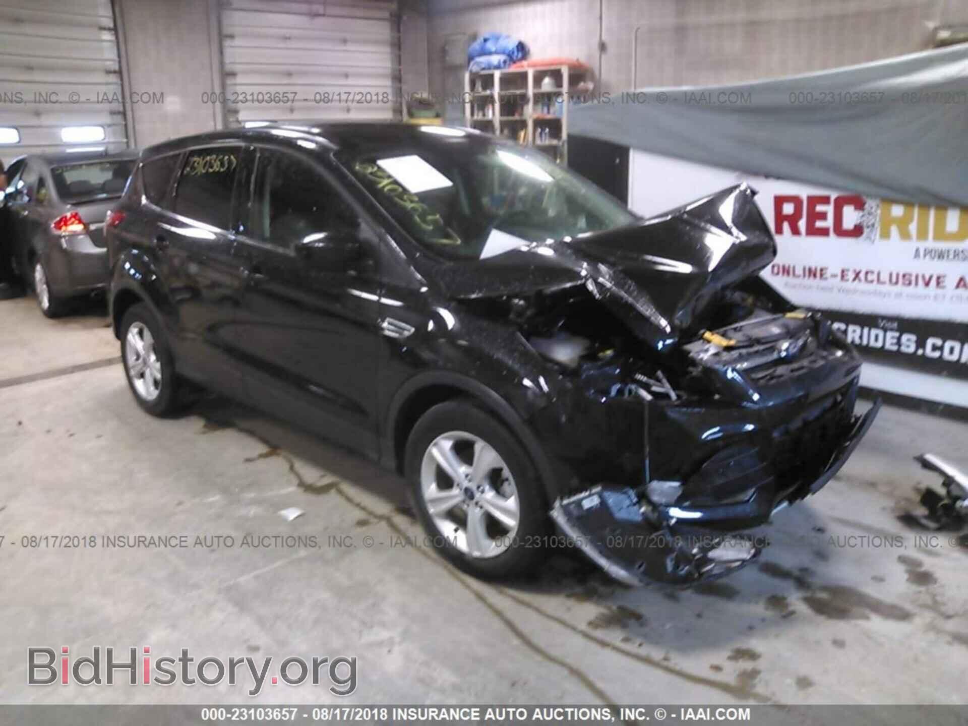 Photo 1FMCU0GX5EUC06849 - Ford Escape 2014
