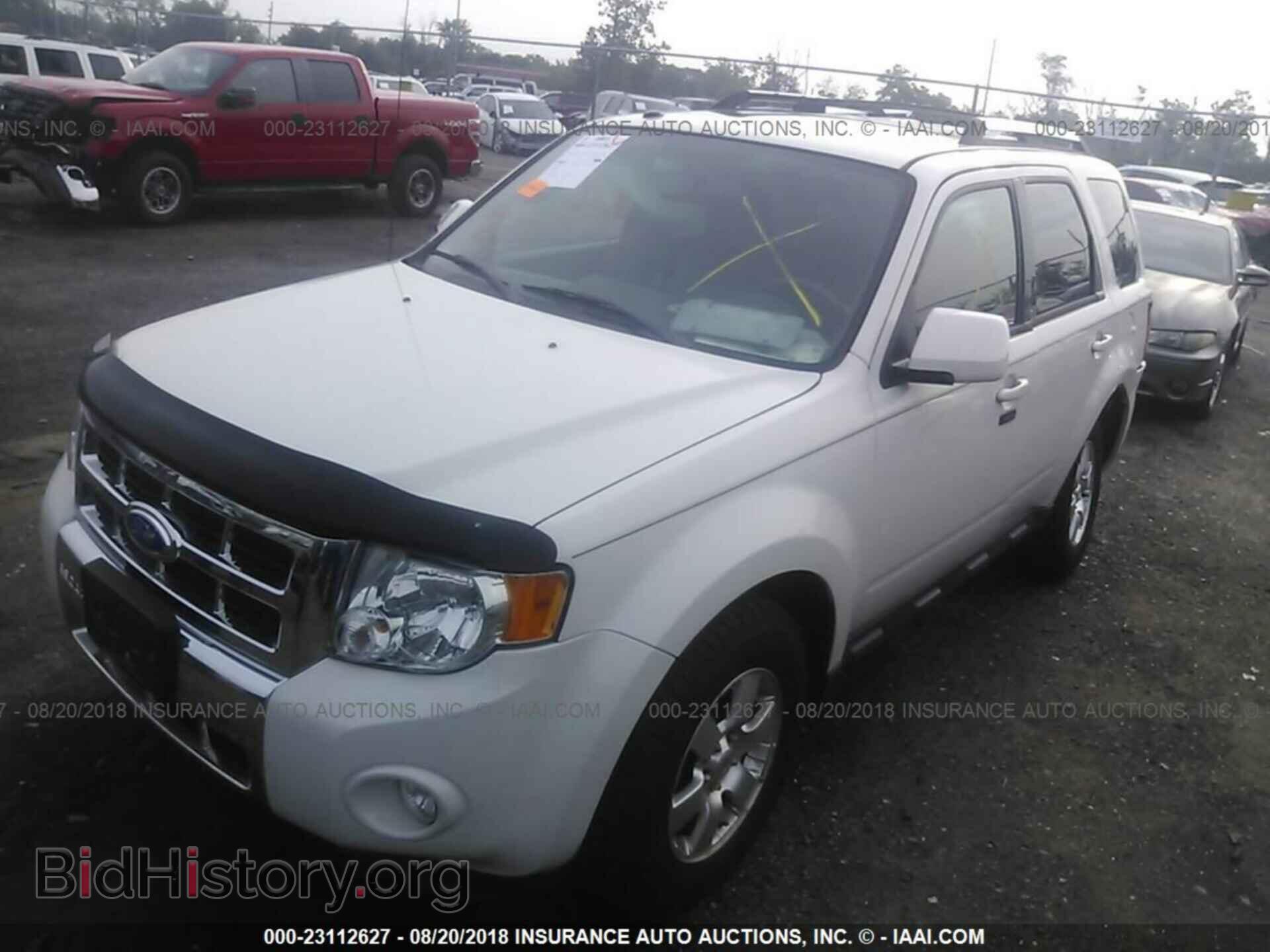 2011 Ford Escape - VIN: 1FMCU9EG0BKC70974 - Photo 2