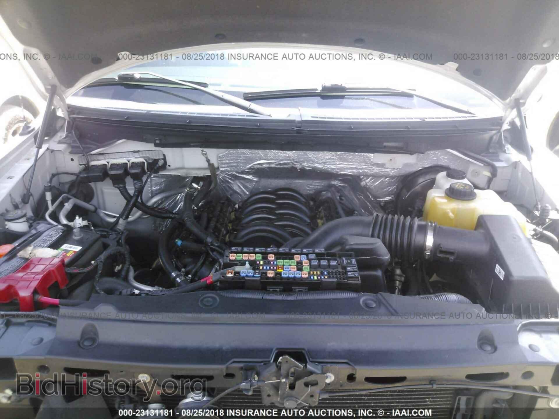2013 FORD F150 - VIN: 1FTMF1CF5DFC77204 - Фото 10