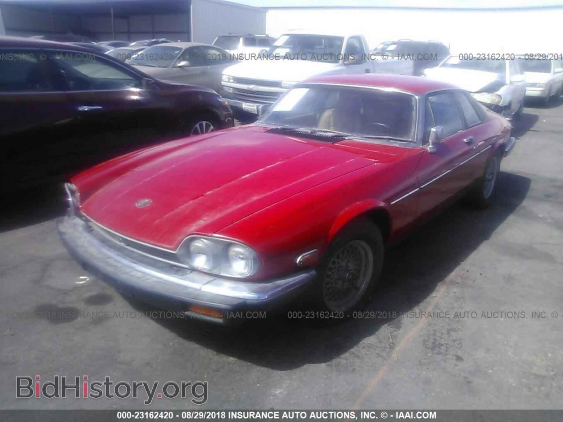 1982 JAGUAR XJS - VIN: SAJNV5849CC105555 - Фото 2