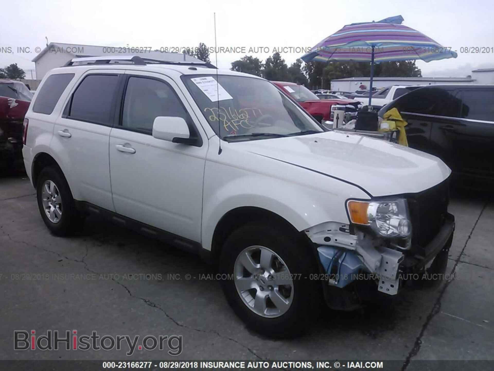 Фотография 1FMCU9EG4BKA54500 - Ford Escape 2011