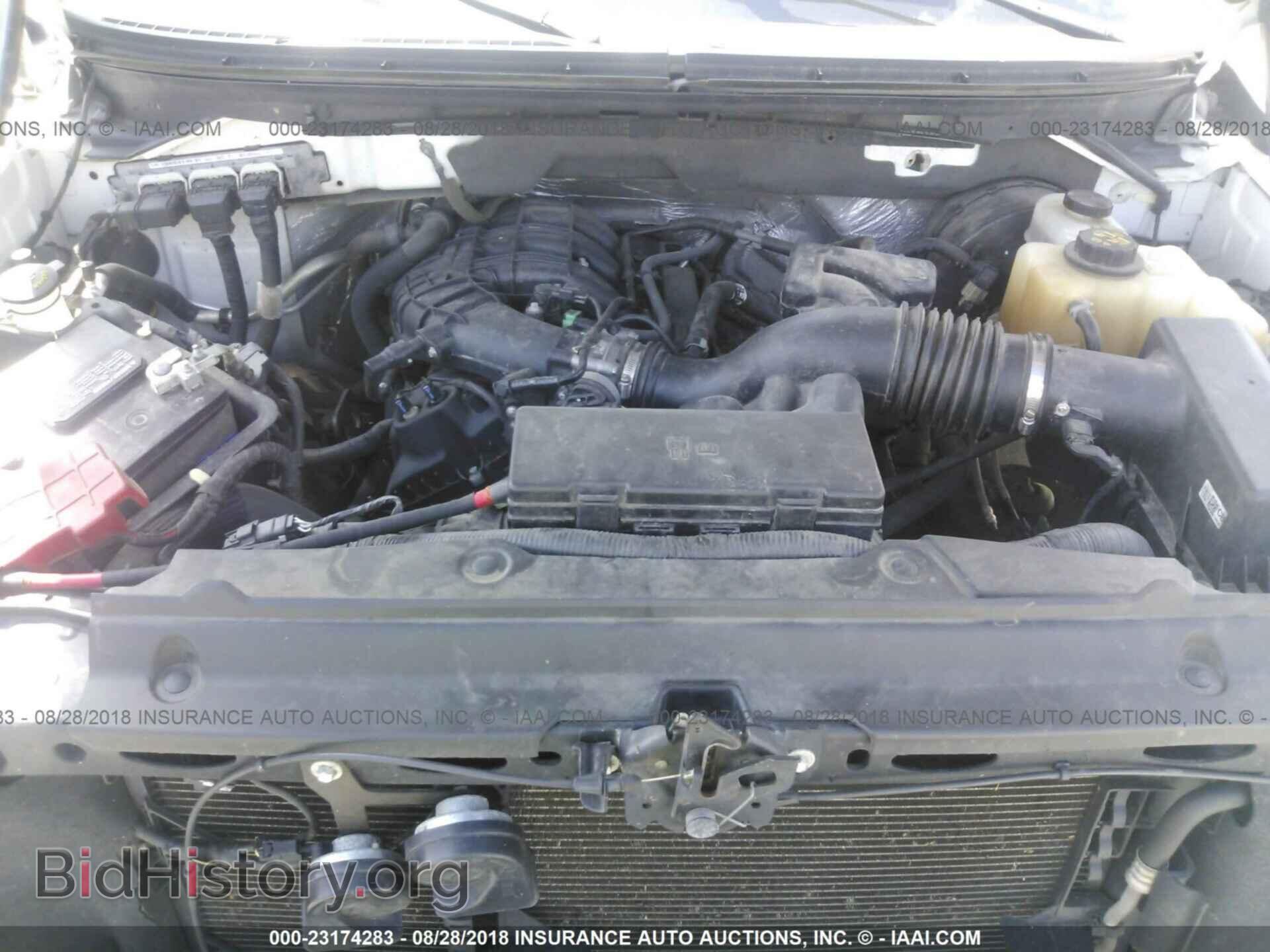 2012 FORD F150 - VIN: 1FTMF1CM3CFC87873 - Фото 10
