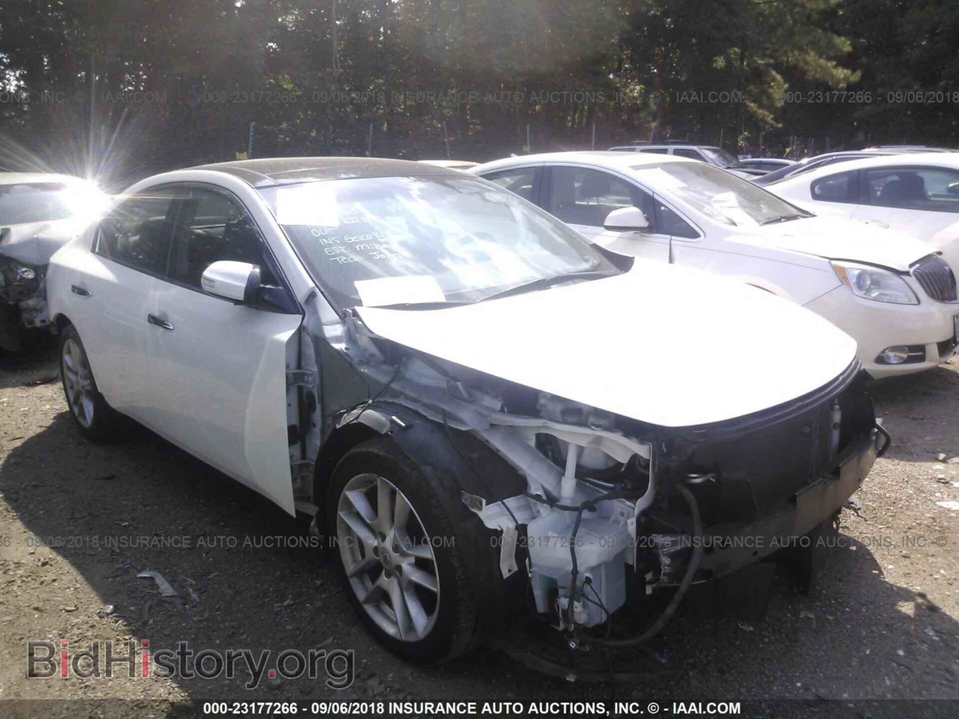 Фотография 1N4AA5AP8BC853473 - Nissan Maxima 2011