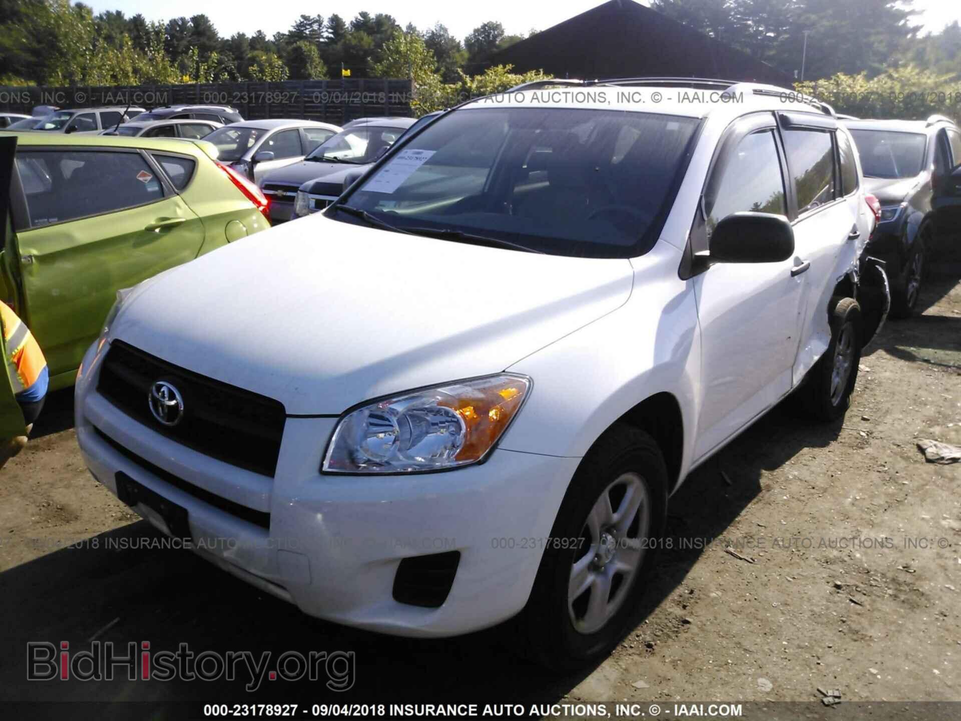 2011 Toyota Rav4 - VIN: 2T3BF4DV7BW113785 - Photo 2