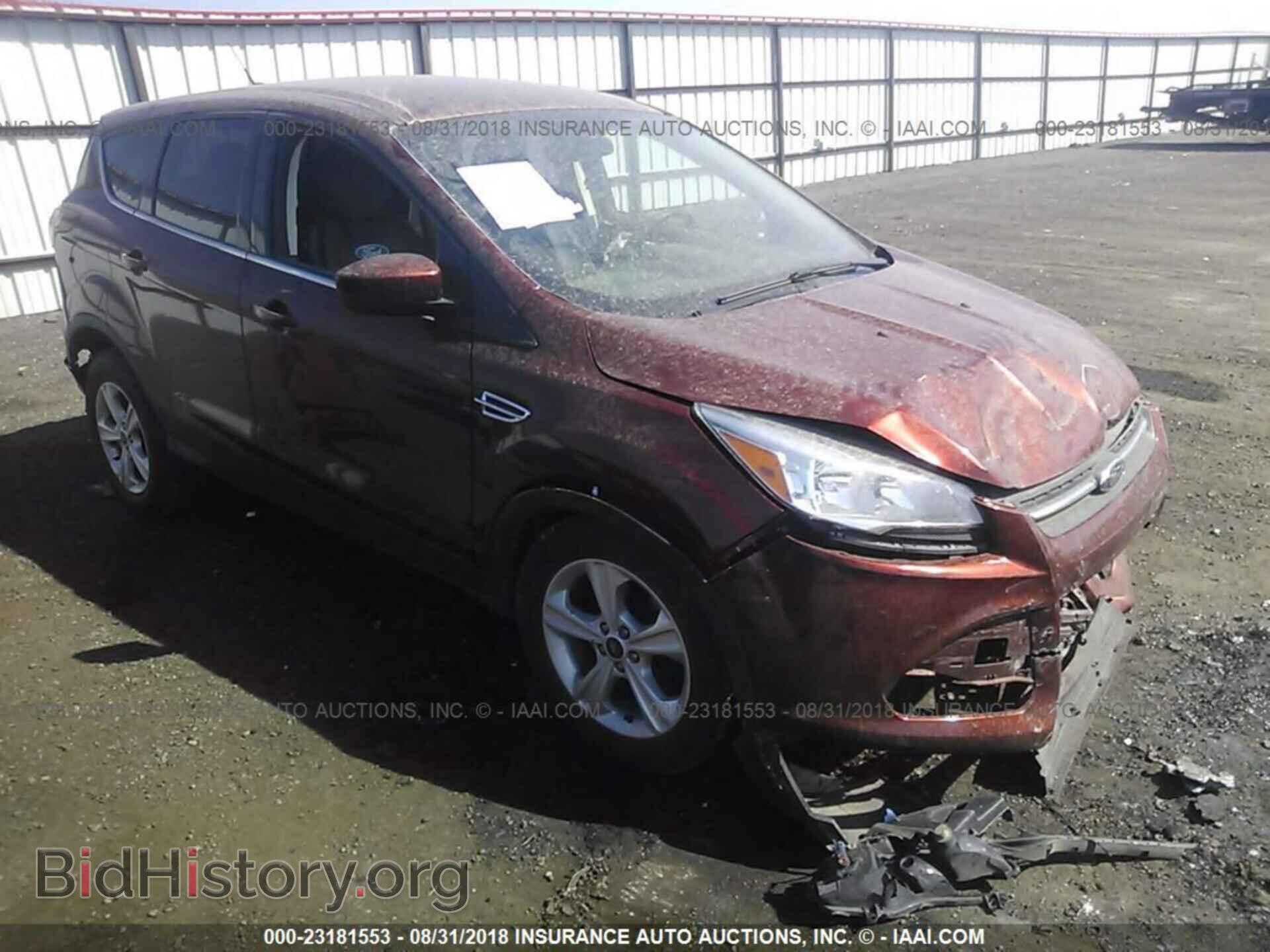Фотография 1FMCU0GX4EUB02935 - Ford Escape 2014