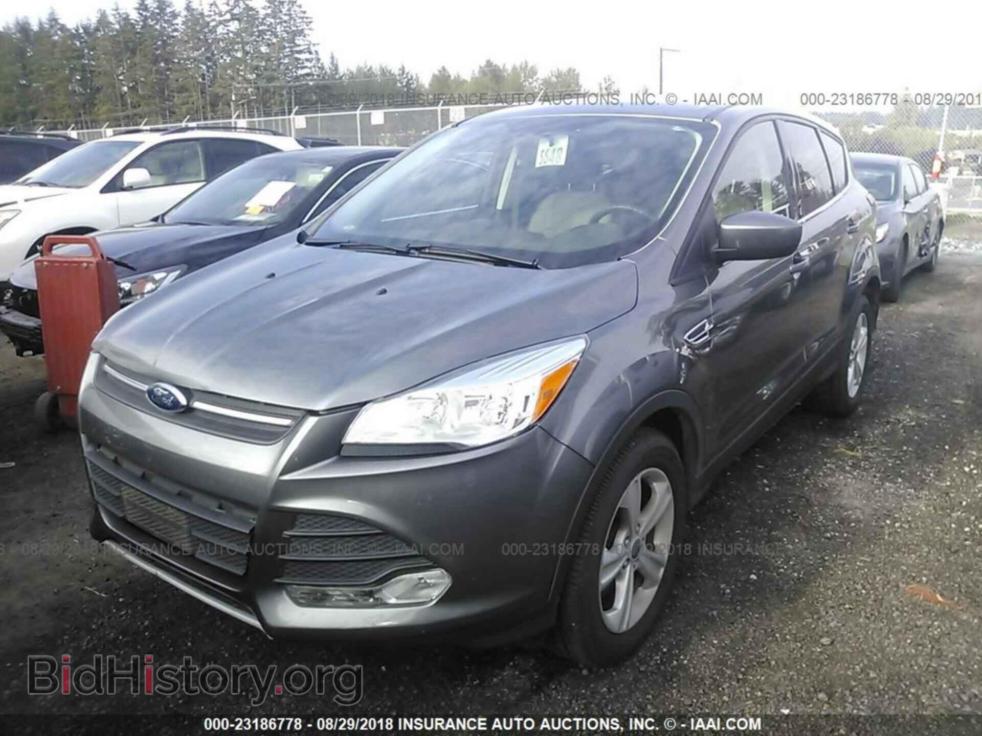 2014 Ford Escape - VIN: 1FMCU9G96EUC46217 - Photo 2