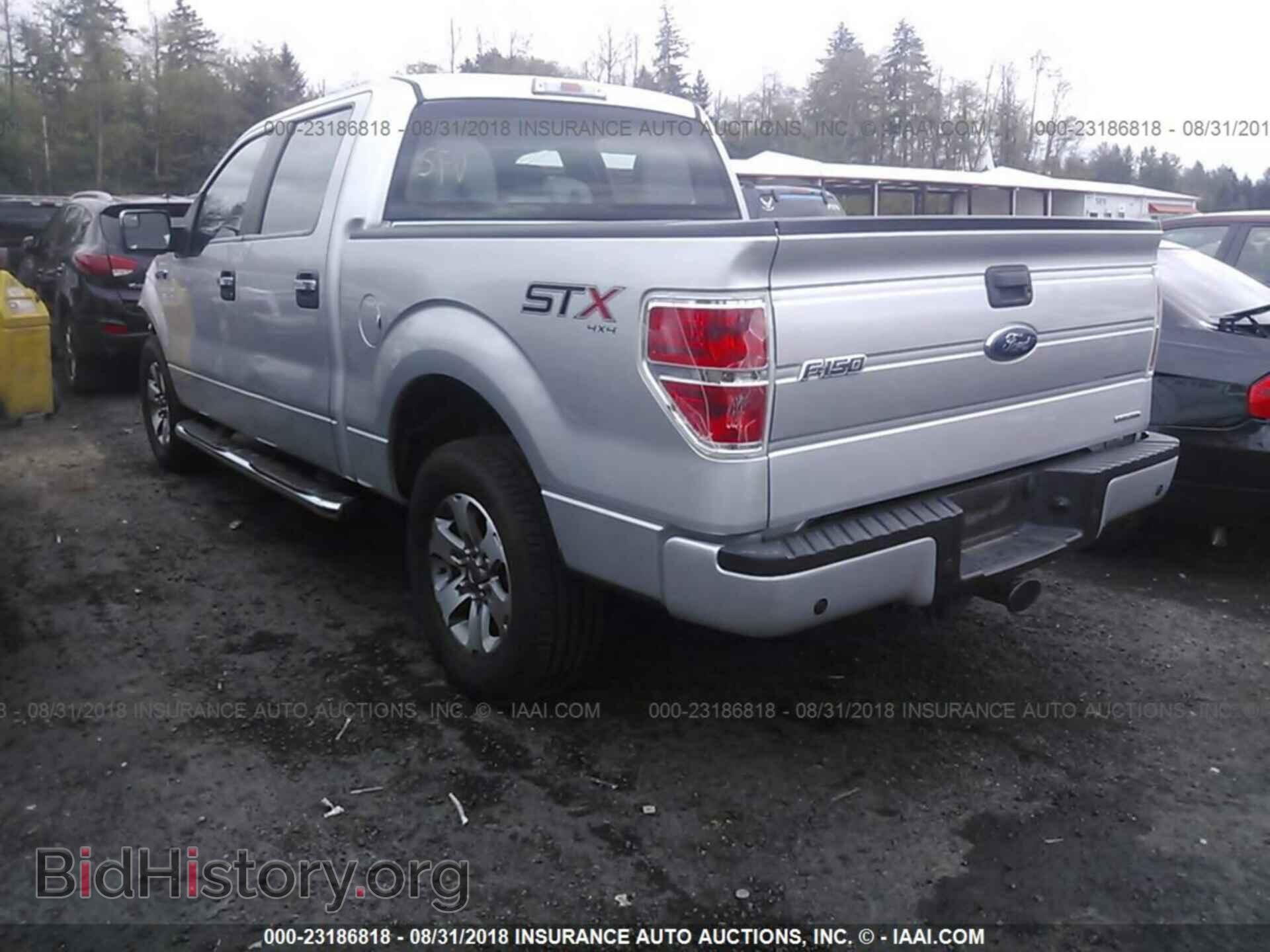 2014 Ford F150 - VIN: 1FTFW1EF5EFA17294 - Фото 3