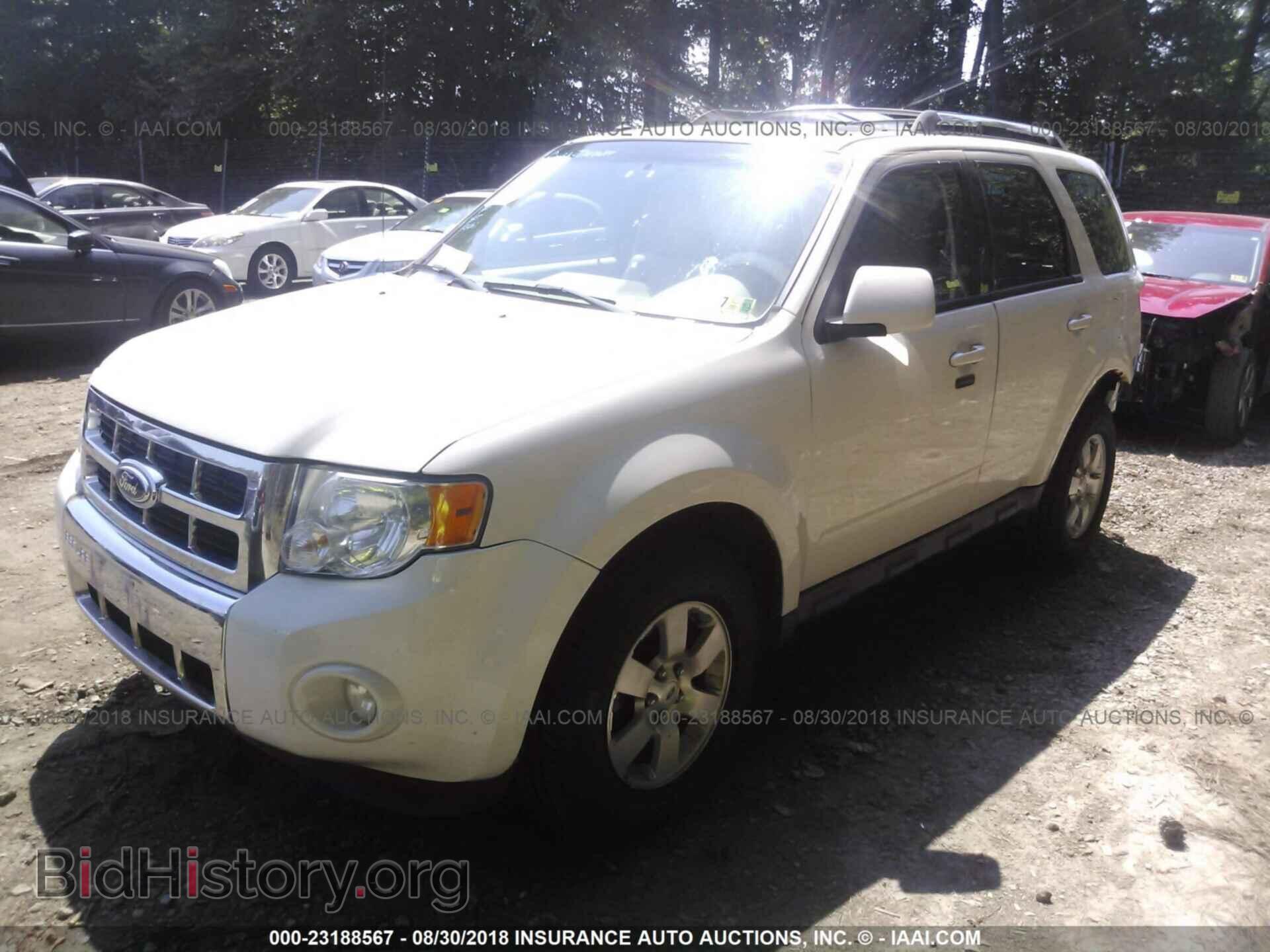 2011 Ford Escape - VIN: 1FMCU9EG5BKA90955 - Фото 2
