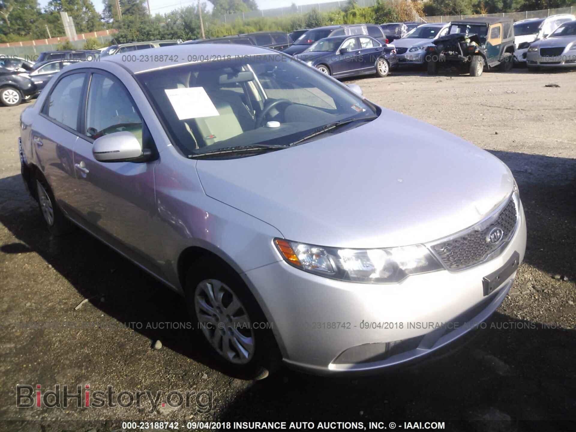 Фотография KNAFU4A26C5595575 - Kia Forte 2012
