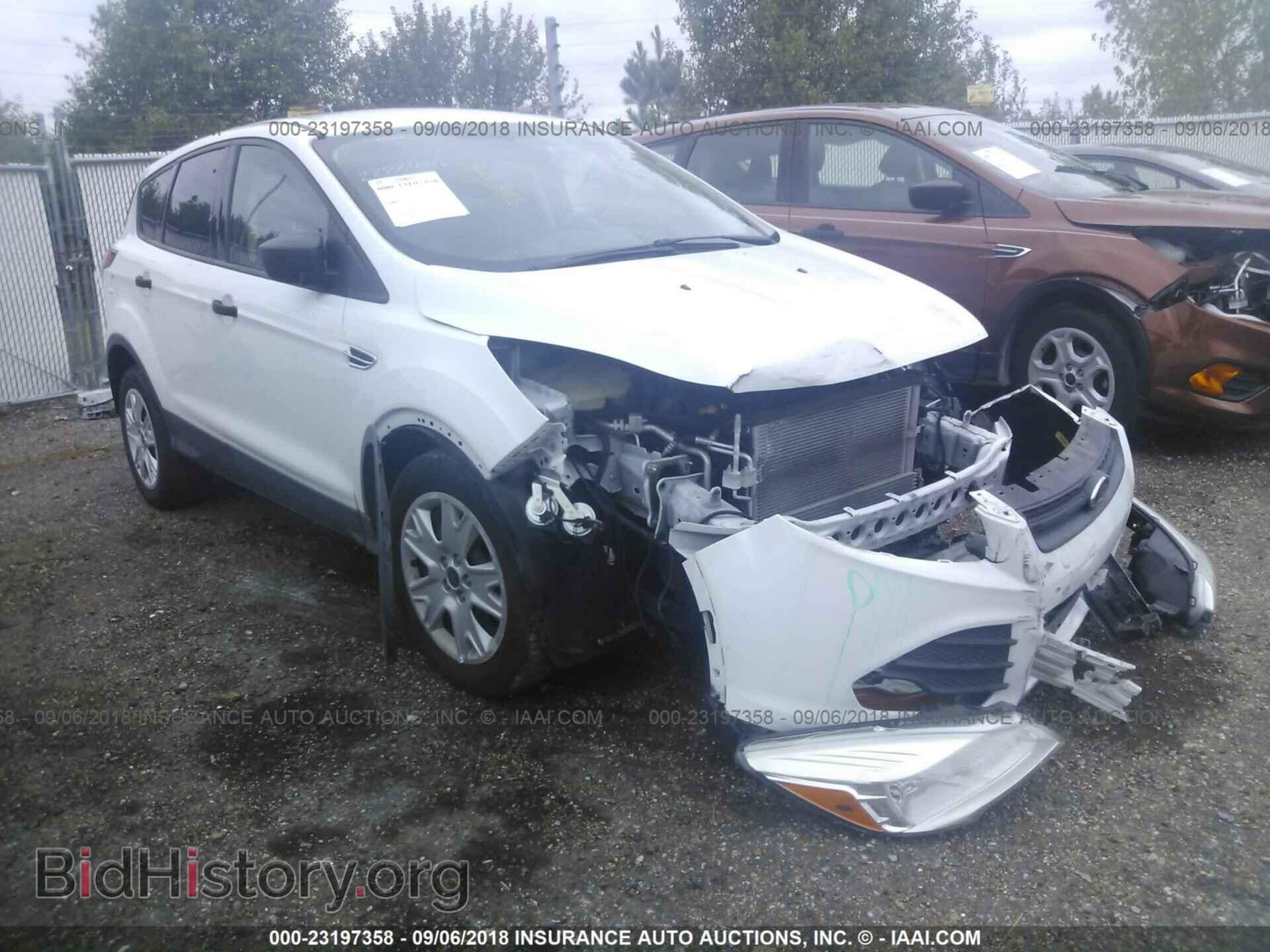 Фотография 1FMCU0F73DUA35616 - Ford Escape 2013
