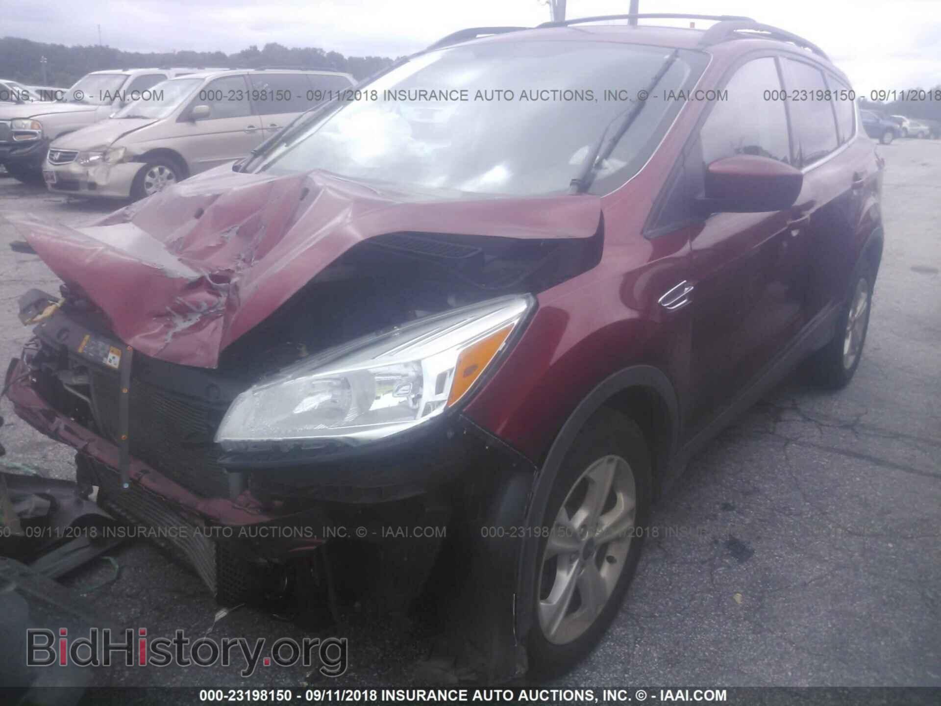 2013 FORD ESCAPE - VIN: 1FMCU0GX2DUB62629 - Фото 2