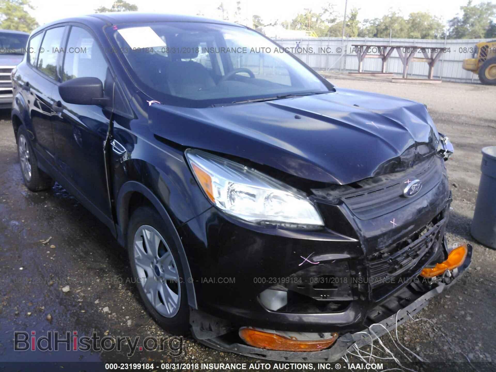 Фотография 1FMCU0F73DUB36462 - Ford Escape 2013
