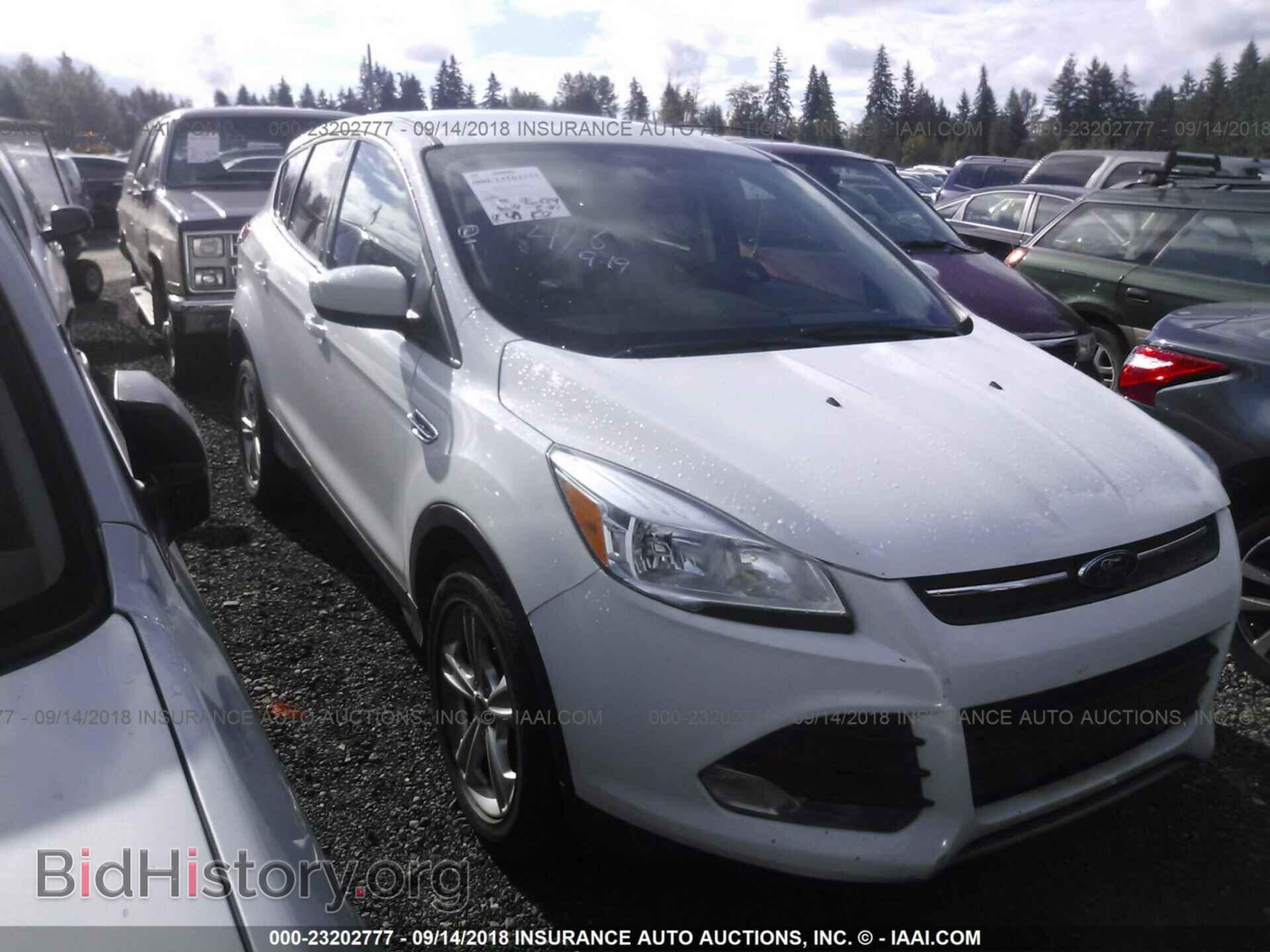 Photo 1FMCU9GX4EUD51689 - Ford Escape 2014