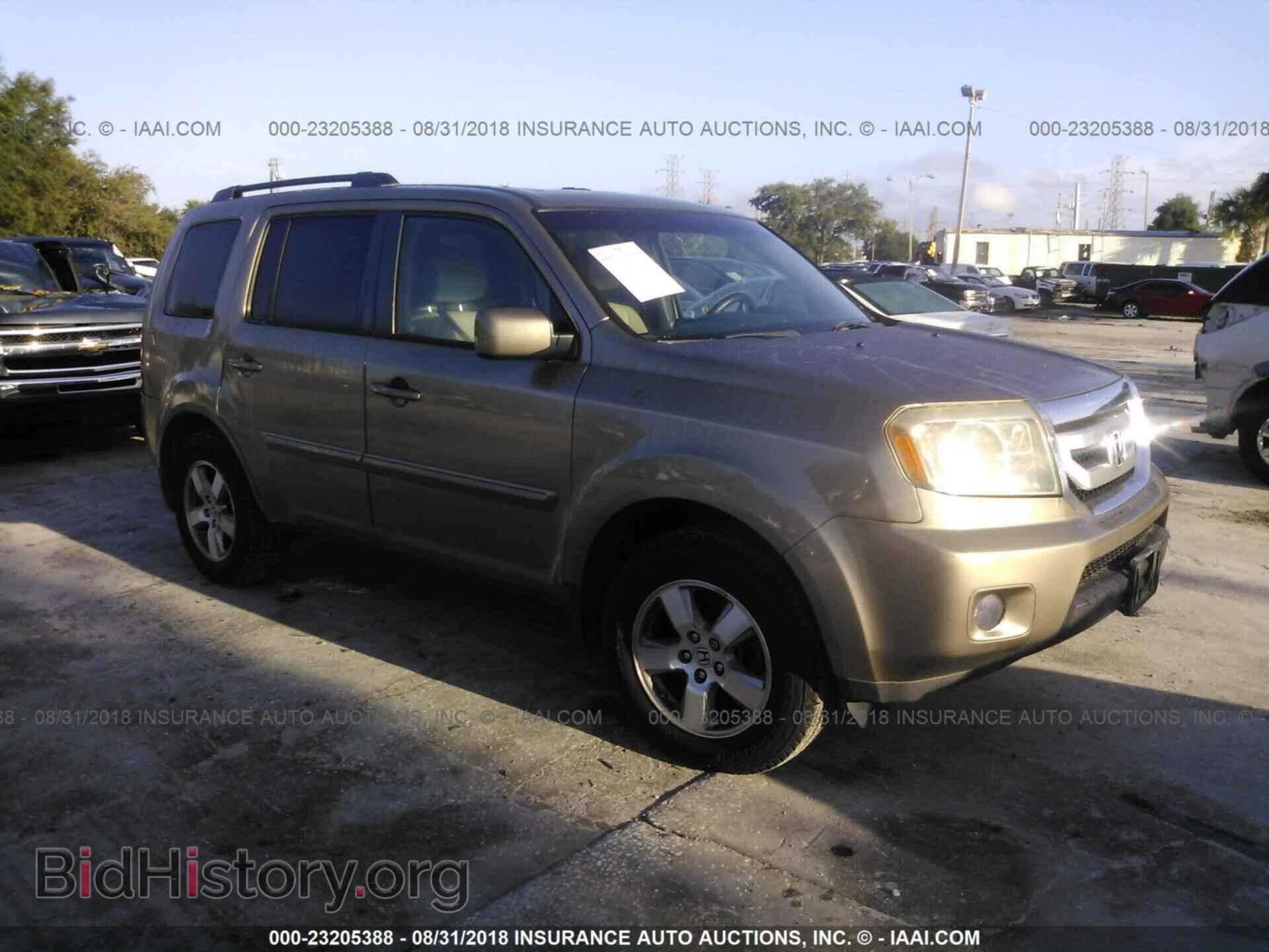 Фотография 5FNYF3H54BB022011 - Honda Pilot 2011