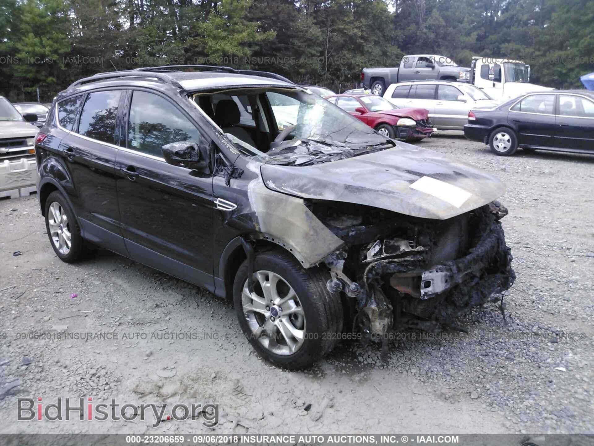 Фотография 1FMCU0G90DUC91616 - Ford Escape 2013
