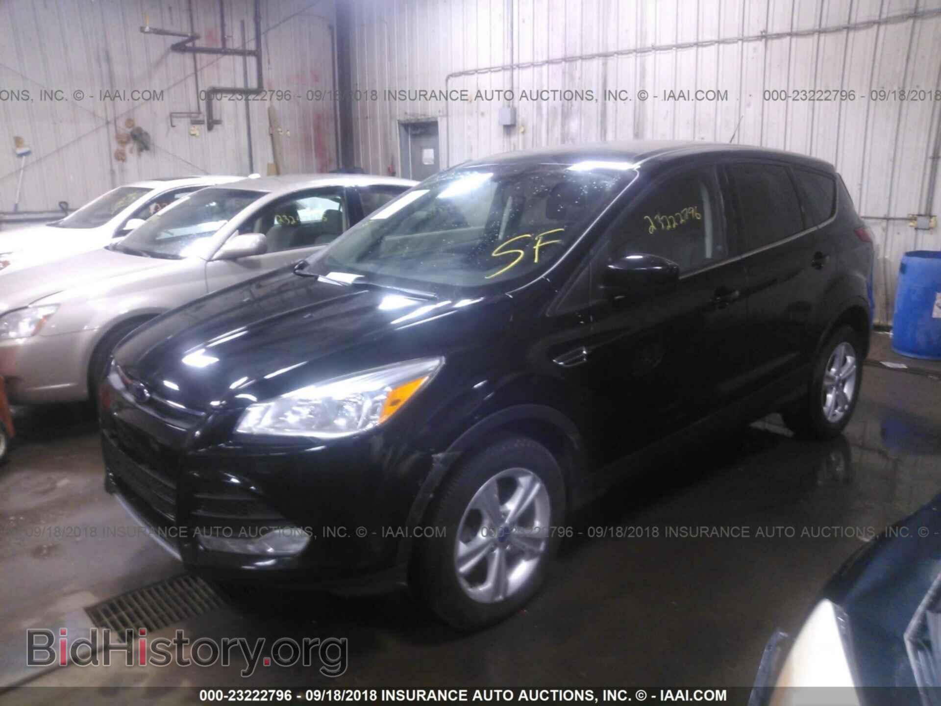 2013 Ford Escape - VIN: 1FMCU9G95DUB33423 - Фото 2