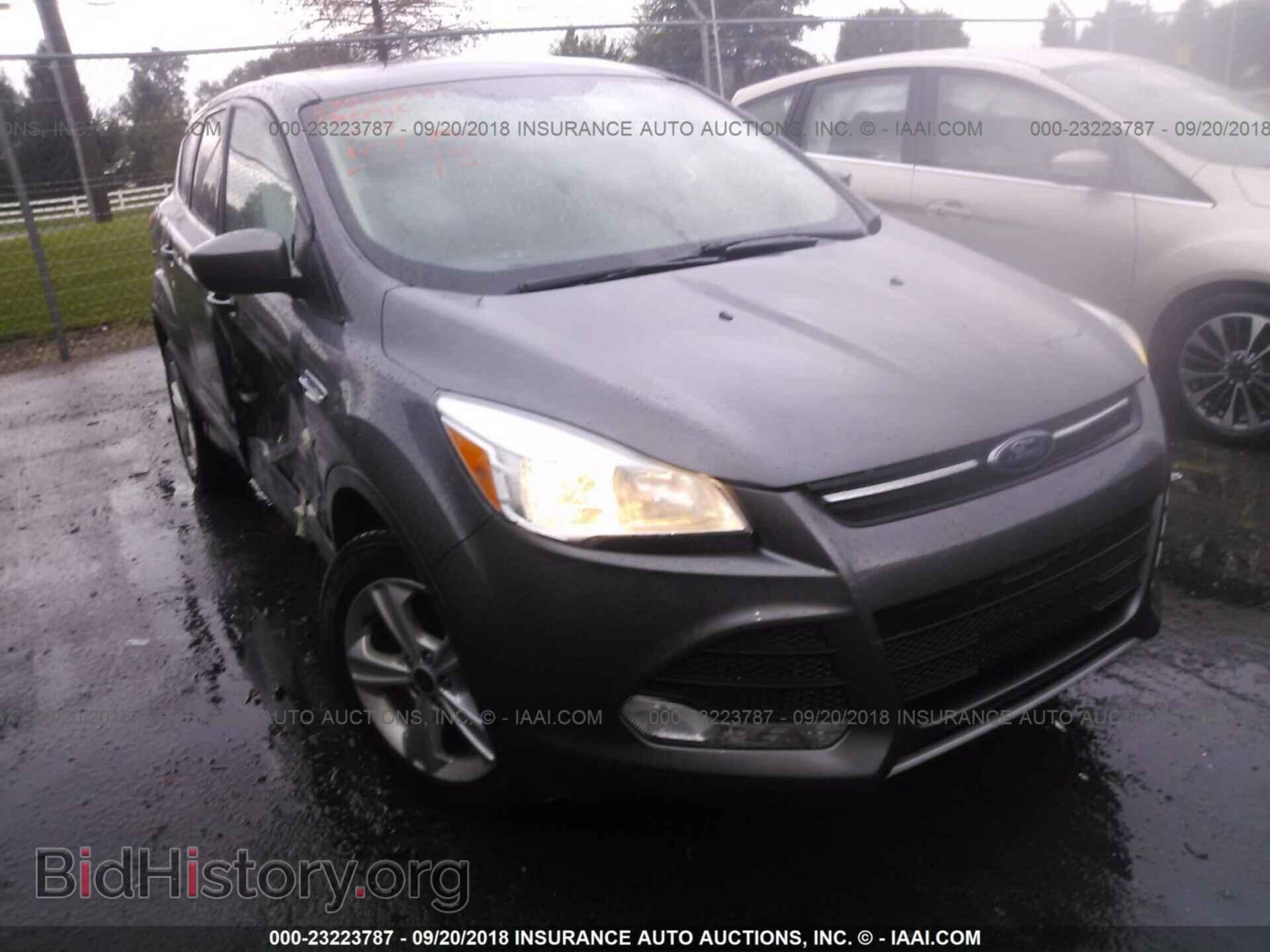 Photo 1FMCU0GX2DUC64657 - Ford Escape 2013