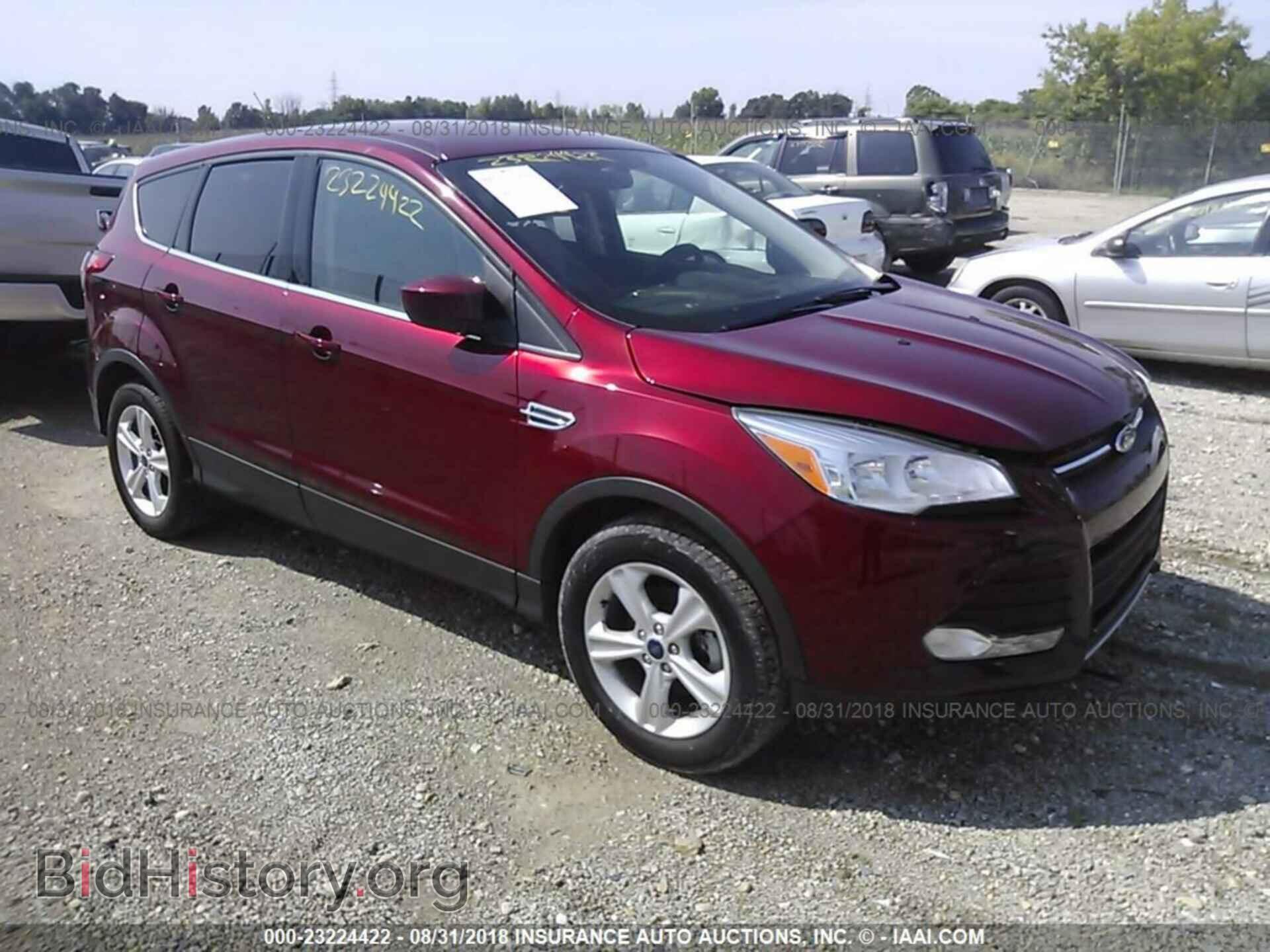Фотография 1FMCU0GX4EUB64738 - Ford Escape 2014