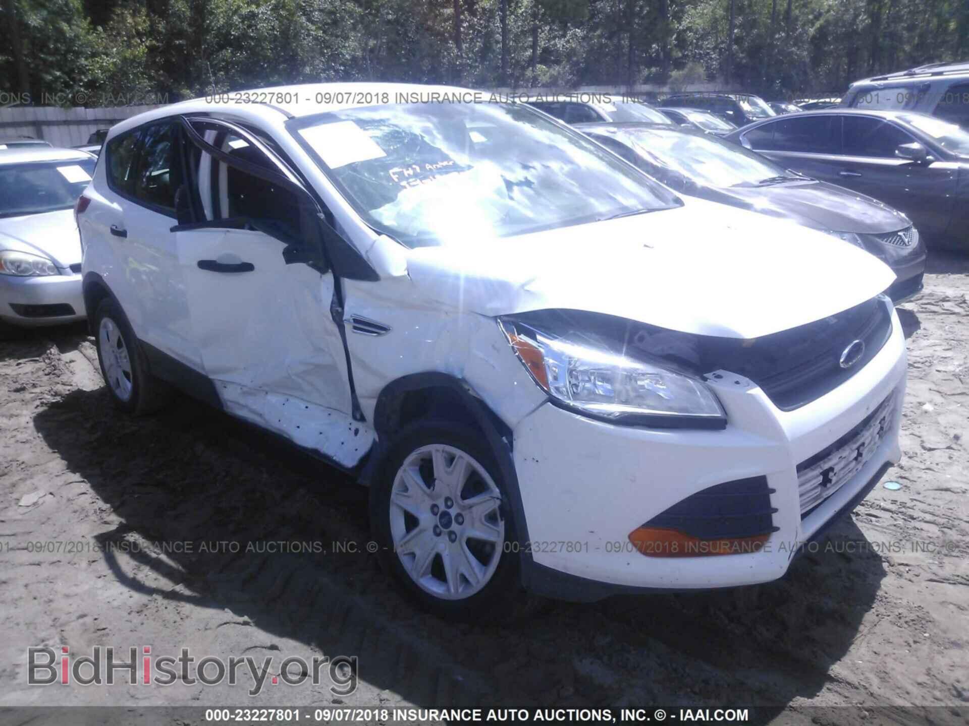 Photo 1FMCU0F74DUD91024 - Ford Escape 2013