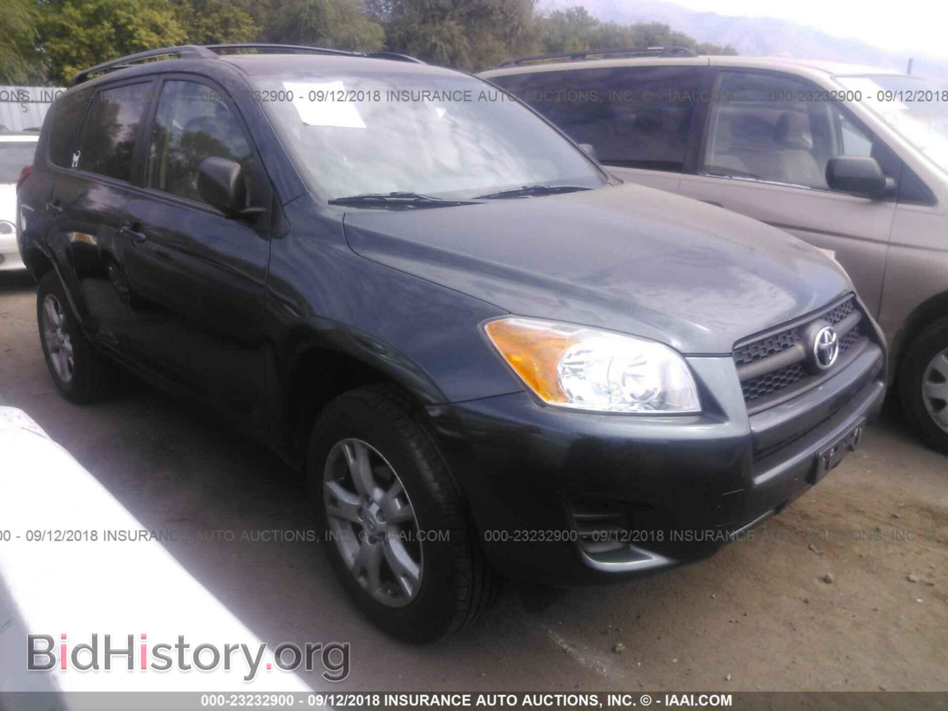 Фотография 2T3BF4DV0CW233221 - Toyota Rav4 2012