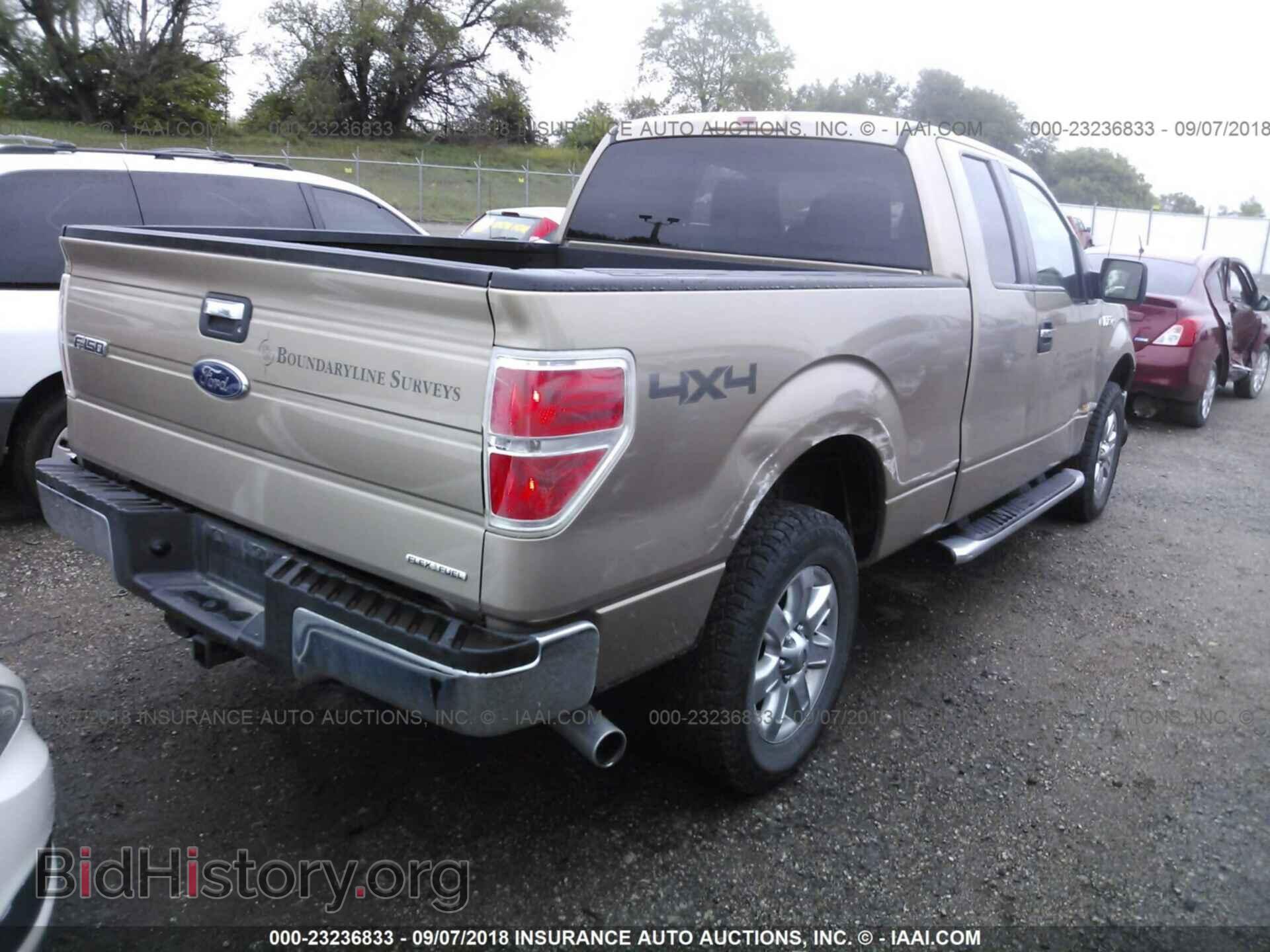 2013 FORD F150 - VIN: 1FTFX1EF9DKD15933 - Фото 4