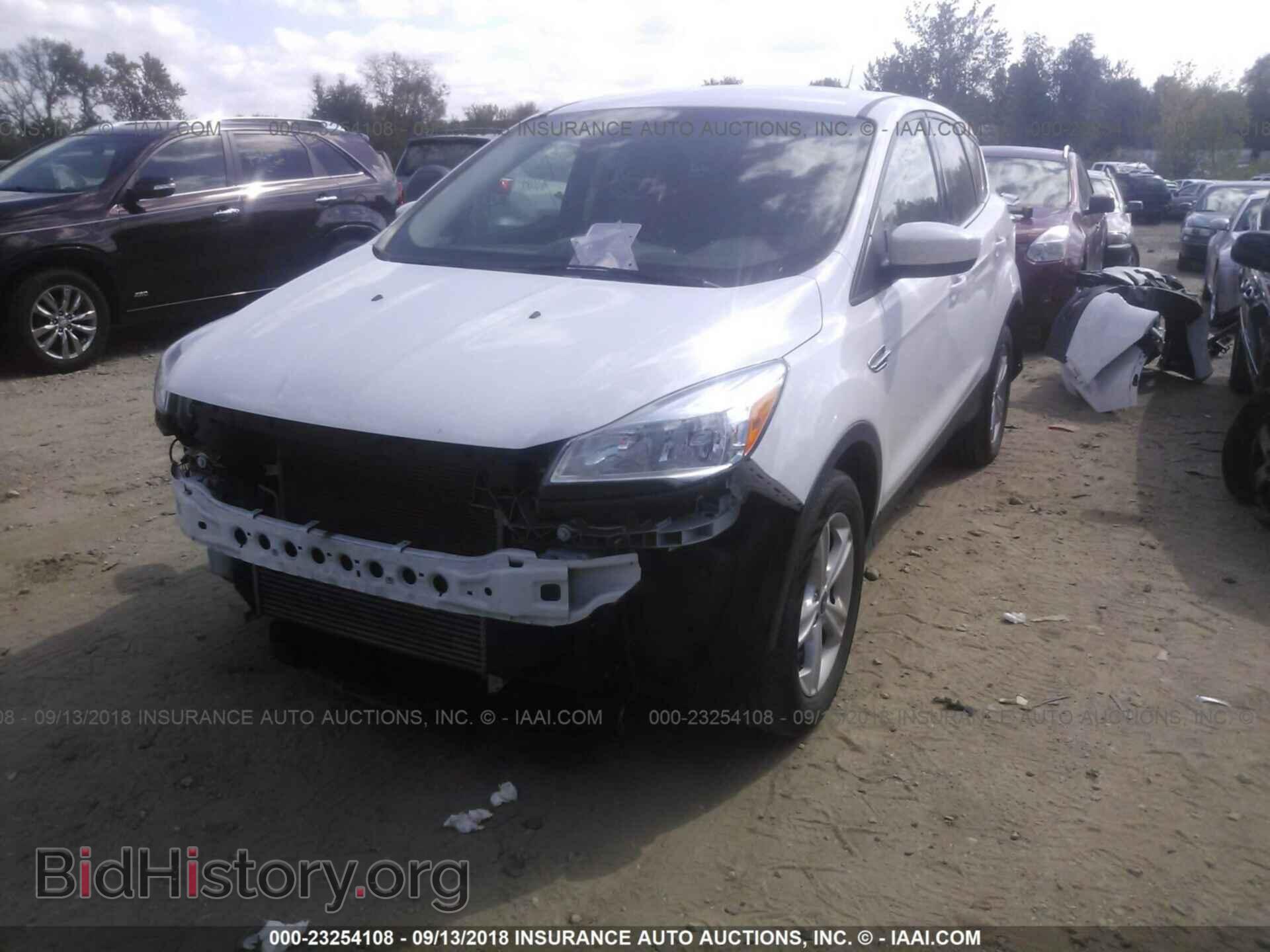 2014 Ford Escape - VIN: 1FMCU9G9XEUA82583 - Фото 2