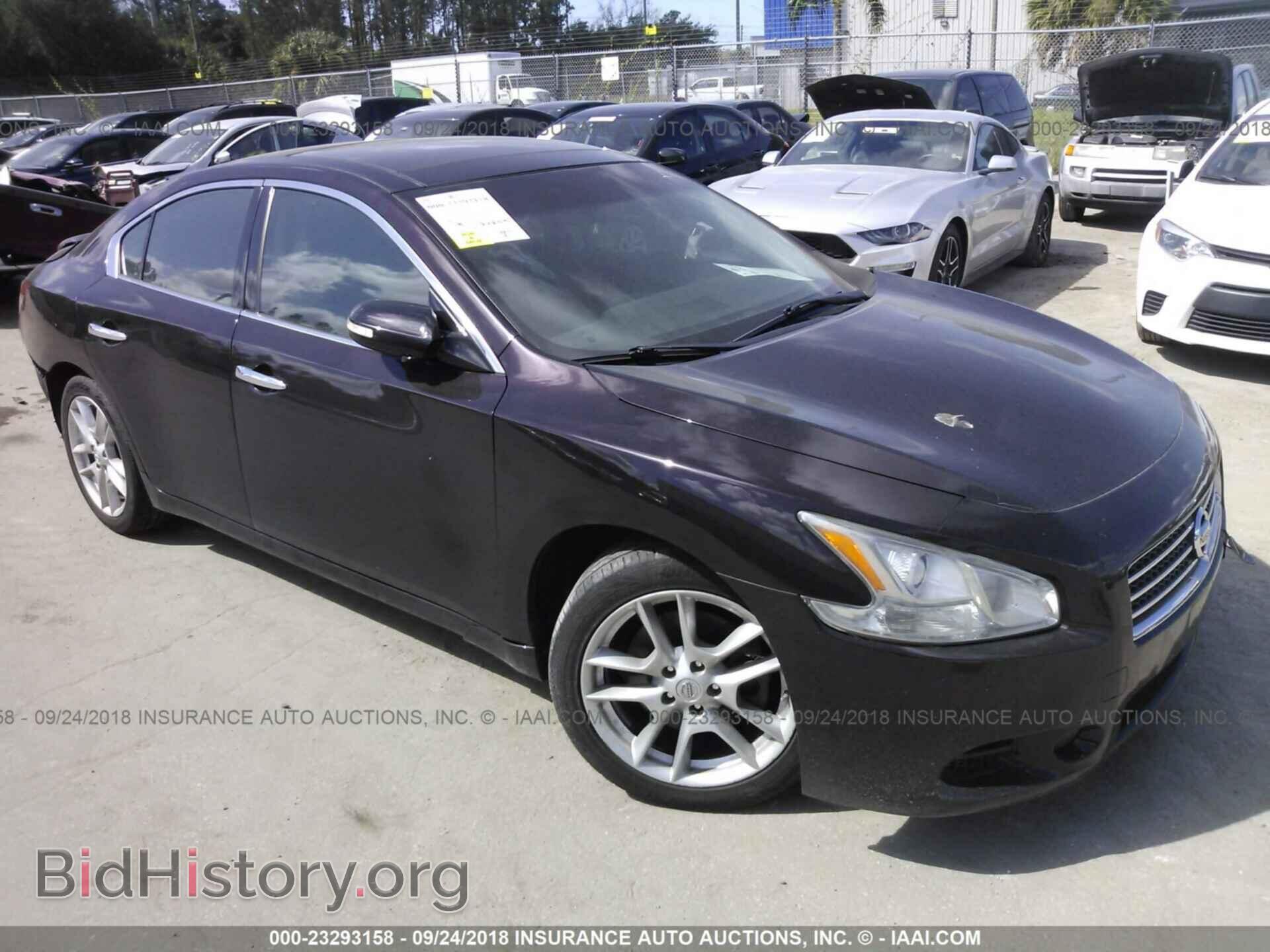 Фотография 1N4AA5AP4BC827467 - Nissan Maxima 2011