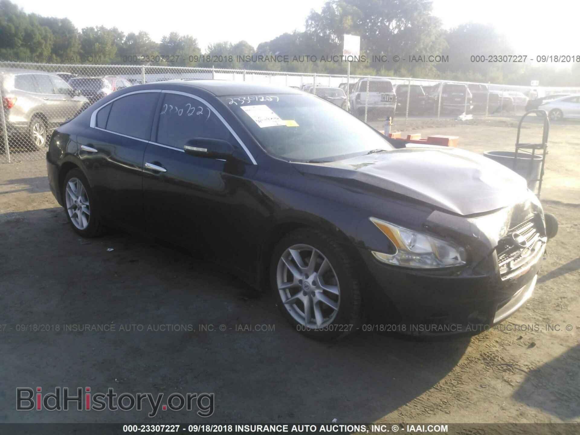 Фотография 1N4AA5AP3BC853557 - Nissan Maxima 2011
