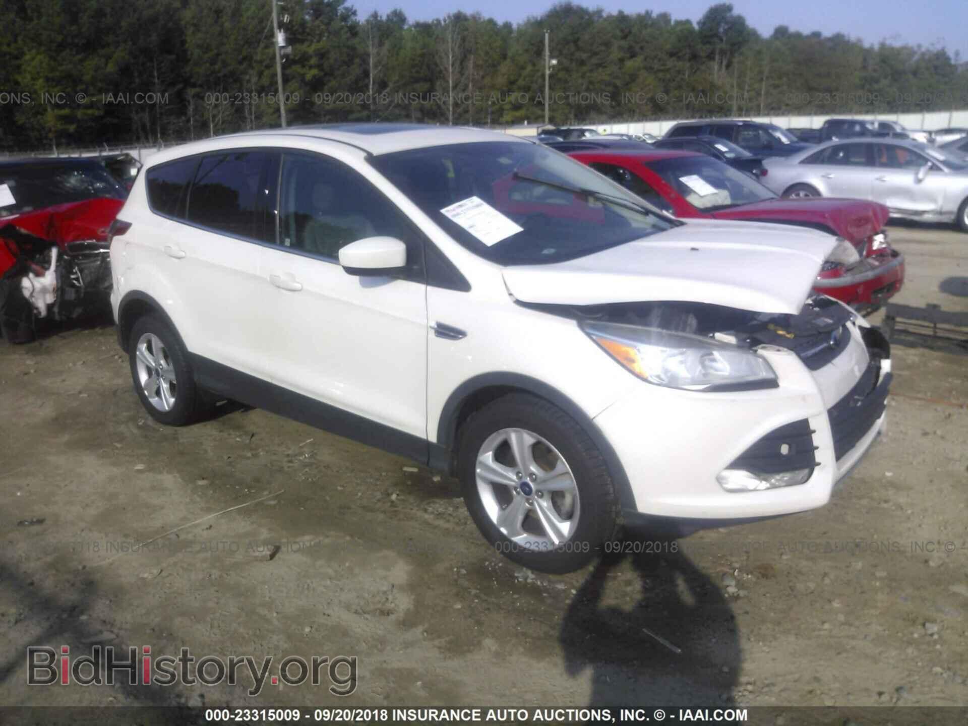 Фотография 1FMCU0GXXEUC20195 - Ford Escape 2014