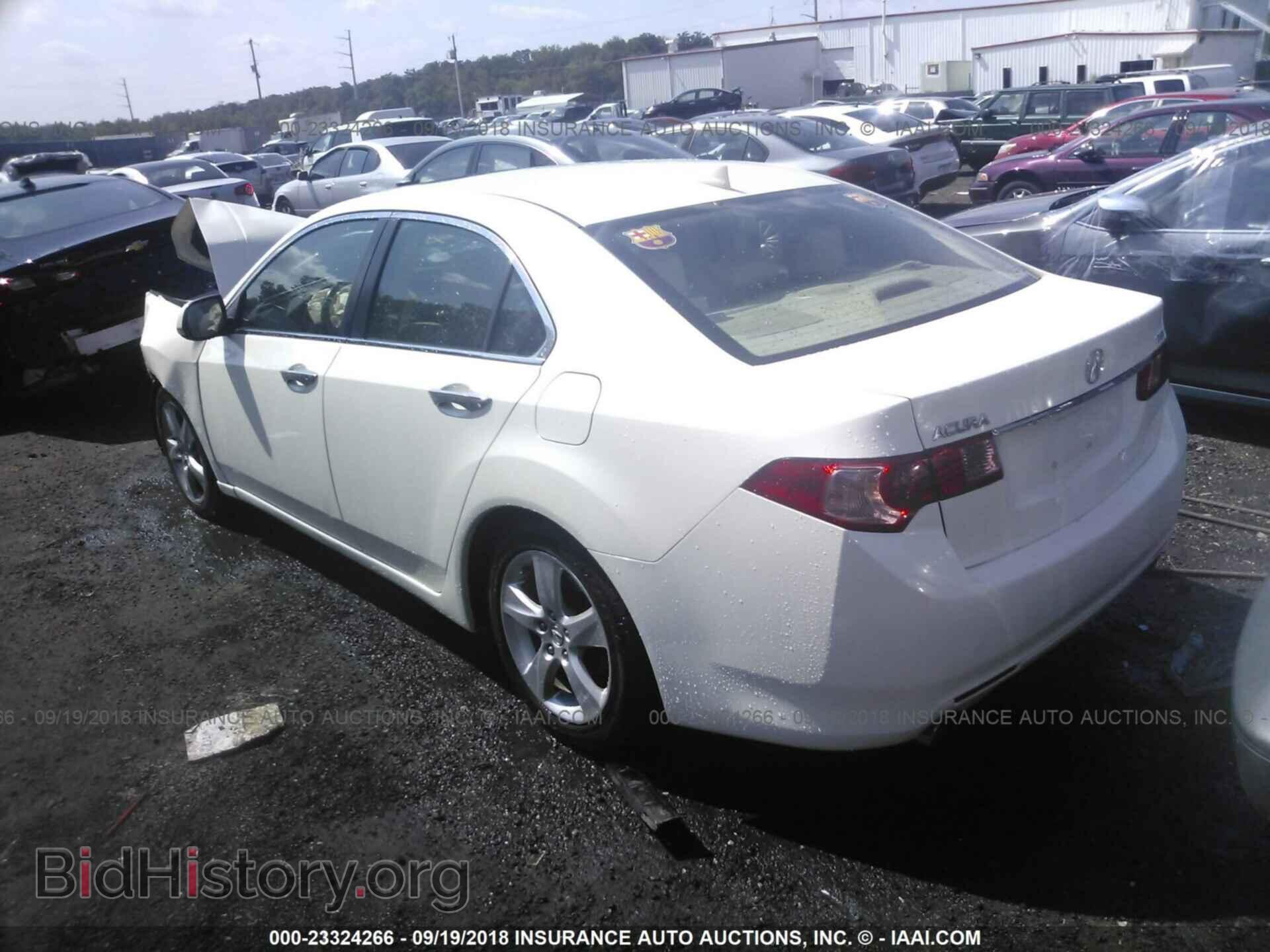 2011 Acura Tsx - VIN: JH4CU2F68BC016648 - Фото 3