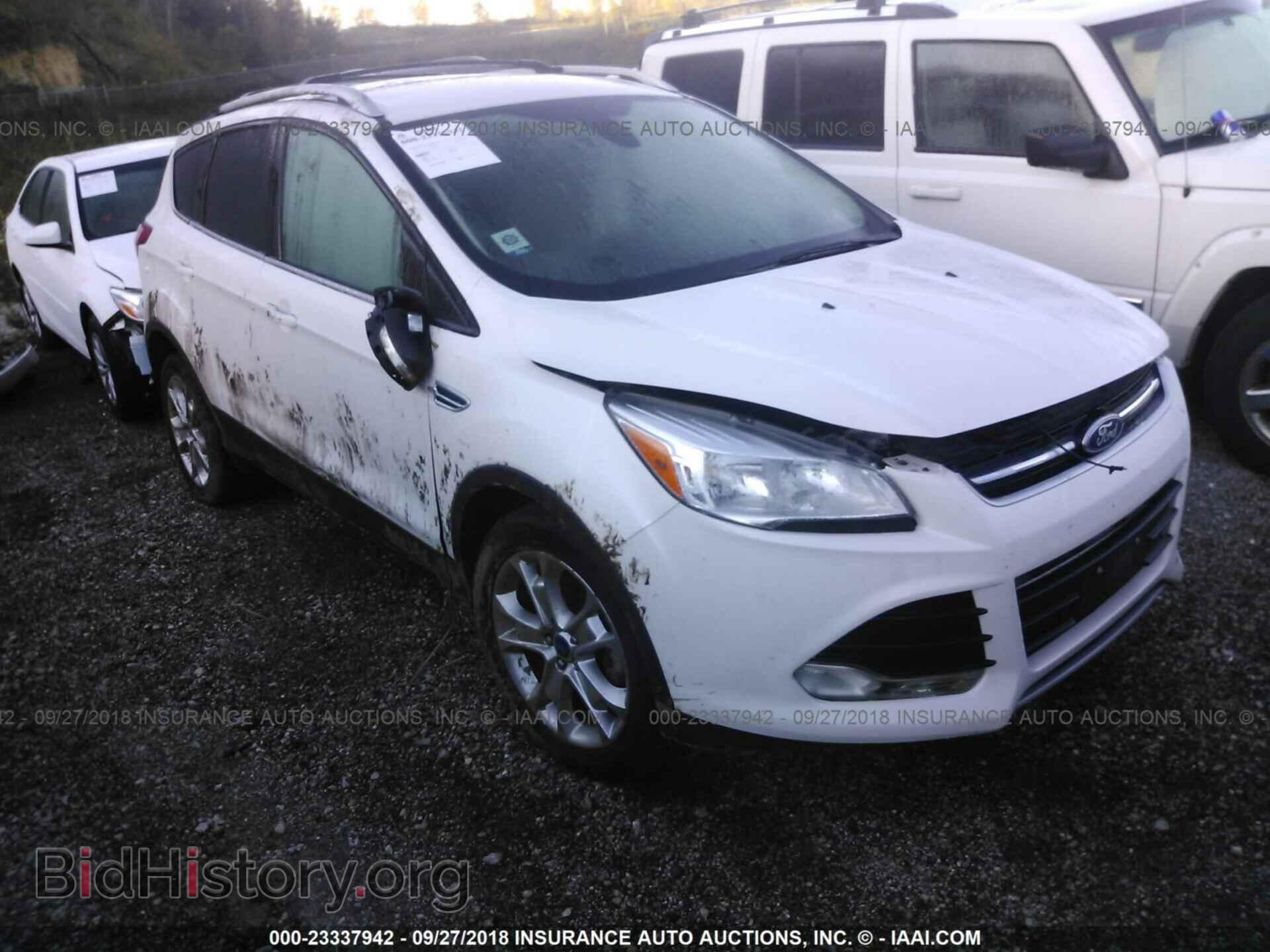 Photo 1FMCU0JX0EUD80160 - Ford Escape 2014