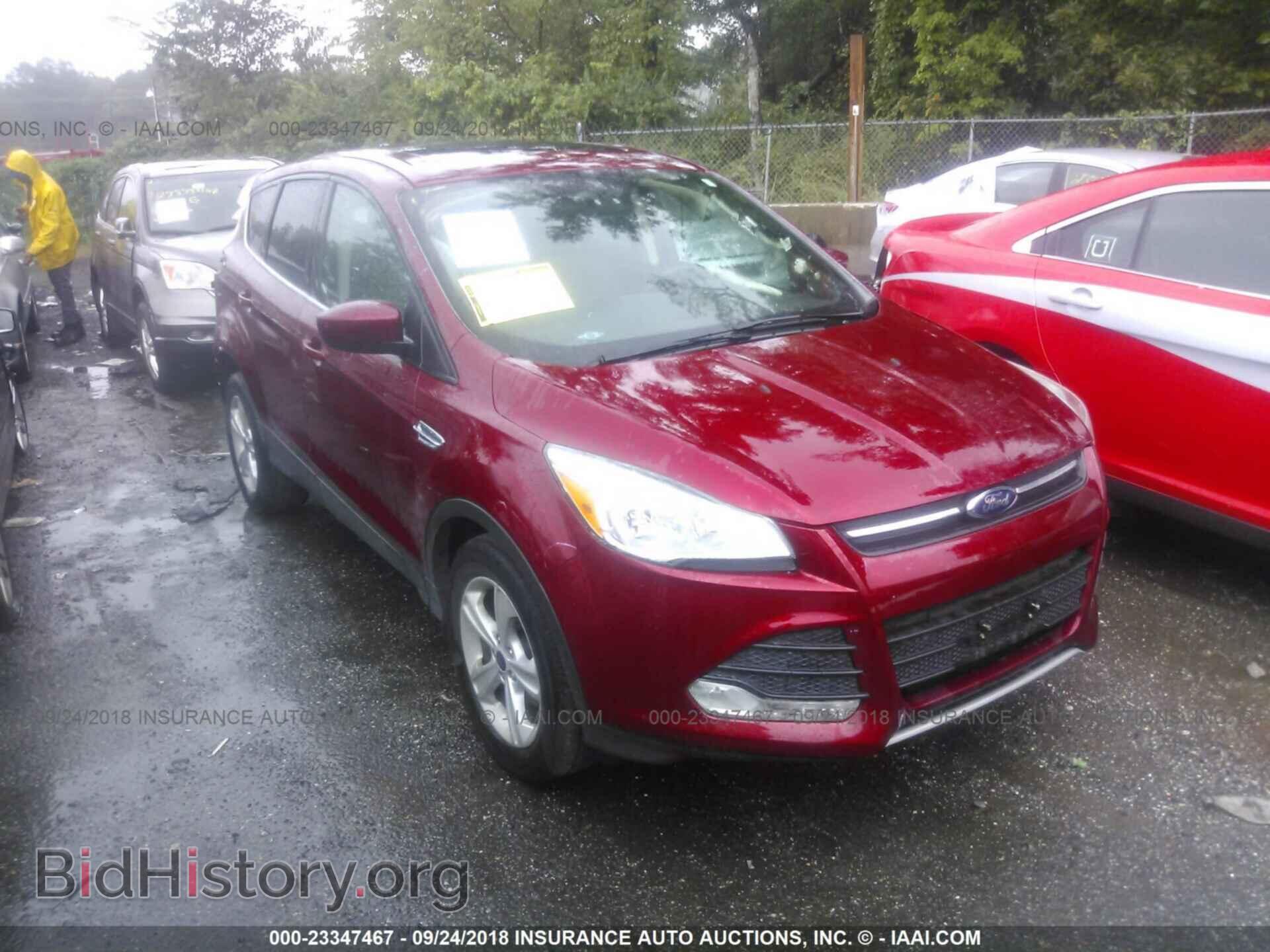 Фотография 1FMCU0GX4EUC04249 - Ford Escape 2014