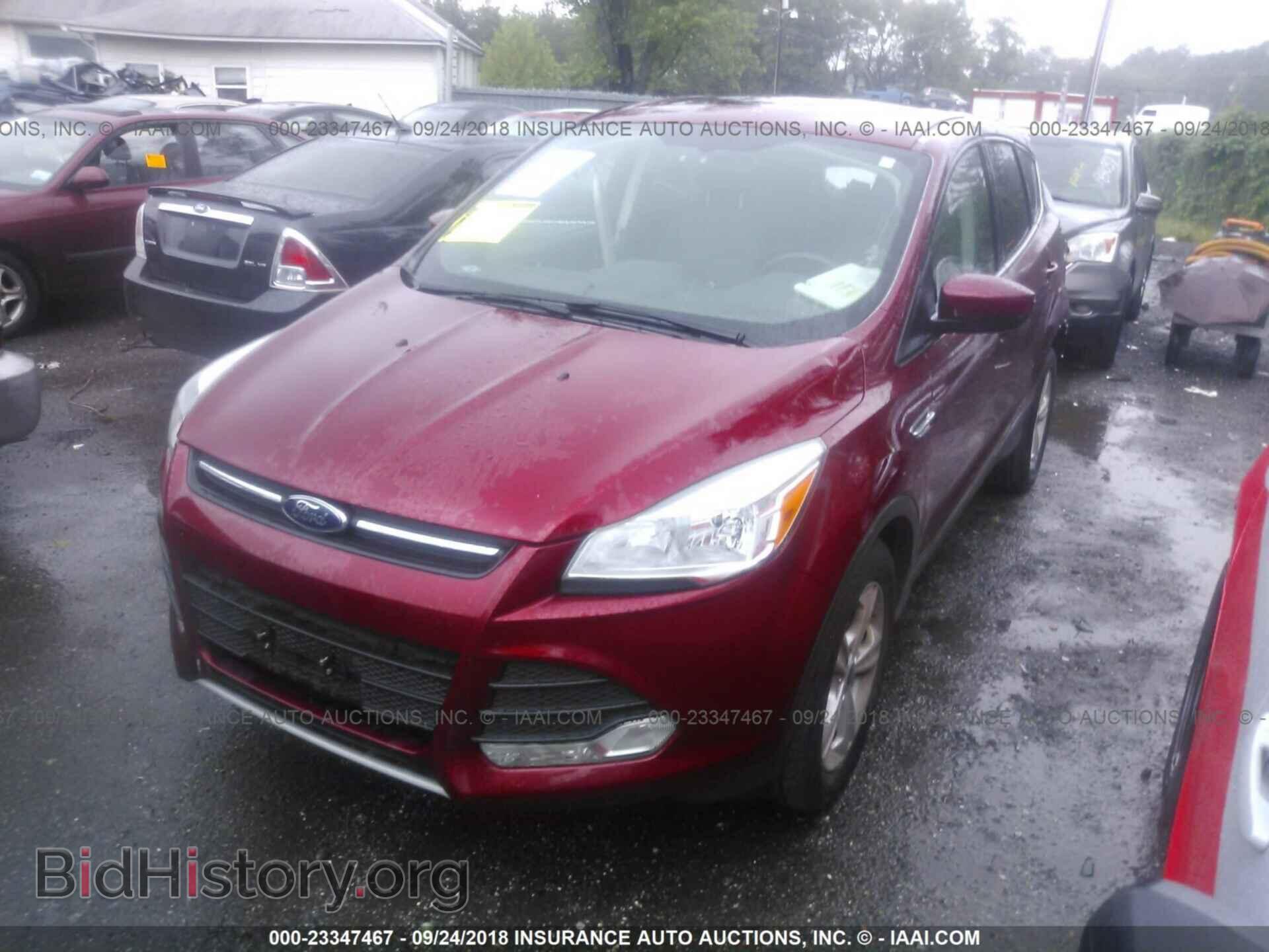 2014 Ford Escape - VIN: 1FMCU0GX4EUC04249 - Photo 2