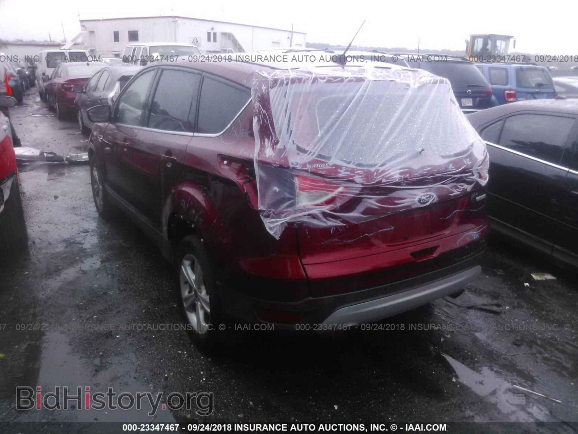 2014 Ford Escape - VIN: 1FMCU0GX4EUC04249 - Photo 3