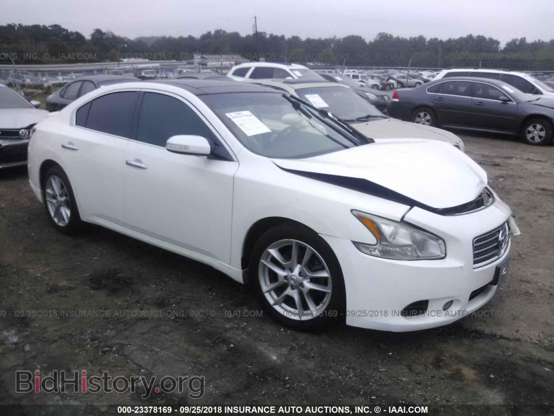 Фотография 1N4AA5AP3BC852294 - Nissan Maxima 2011