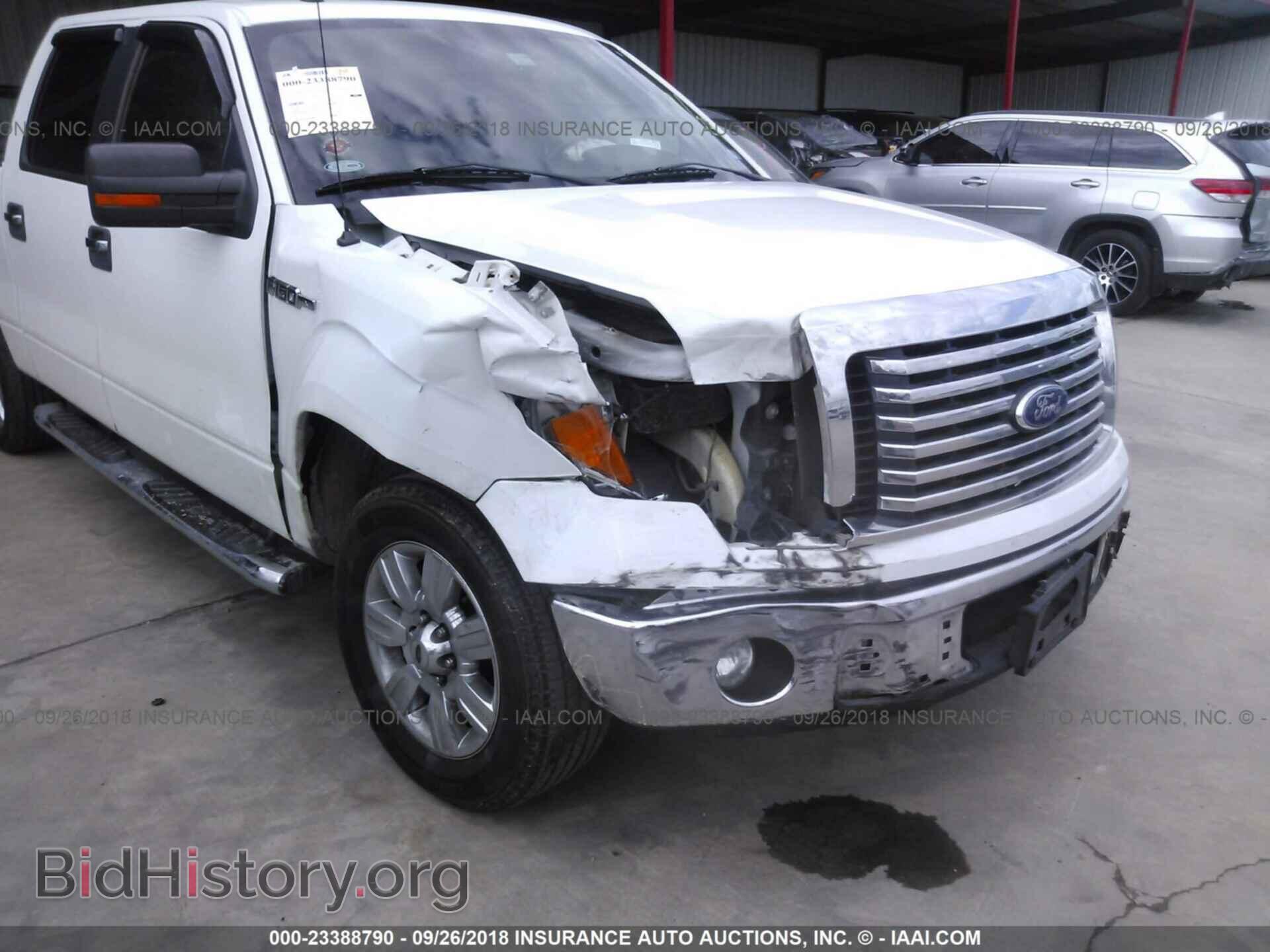 2012 Ford F150 - VIN: 1FTEW1CM8CKD30065 - Фото 6