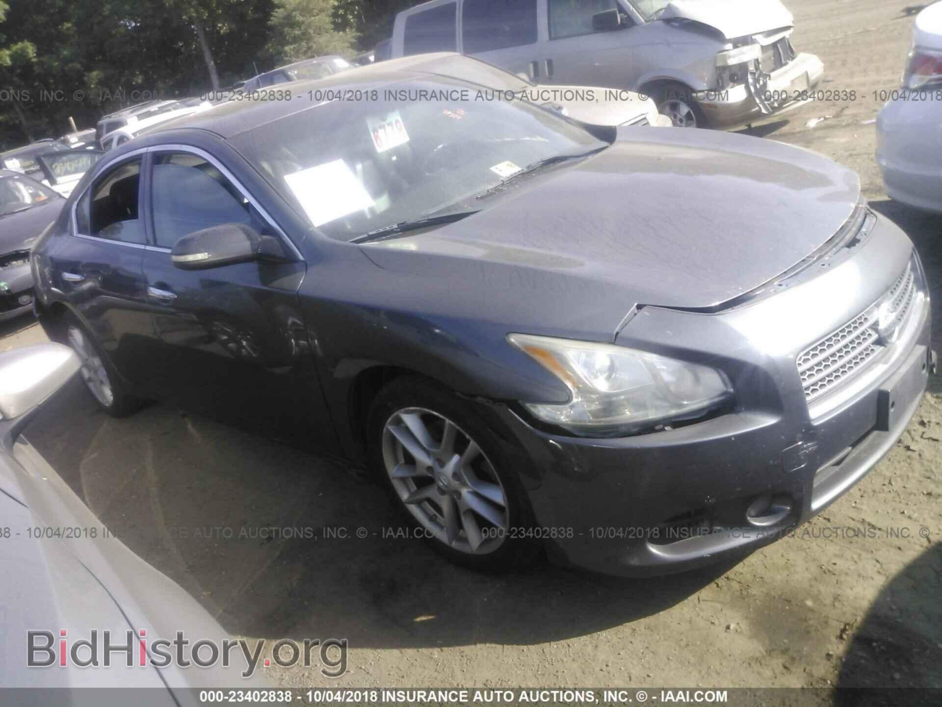Фотография 1N4AA5APXBC816005 - Nissan Maxima 2011