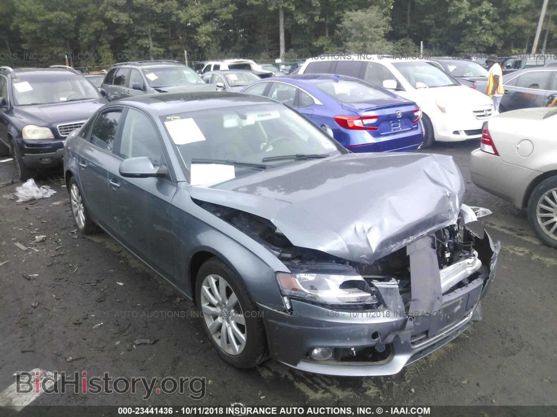 Фотография WAUDFAFL8CA119109 - Audi A4 2012