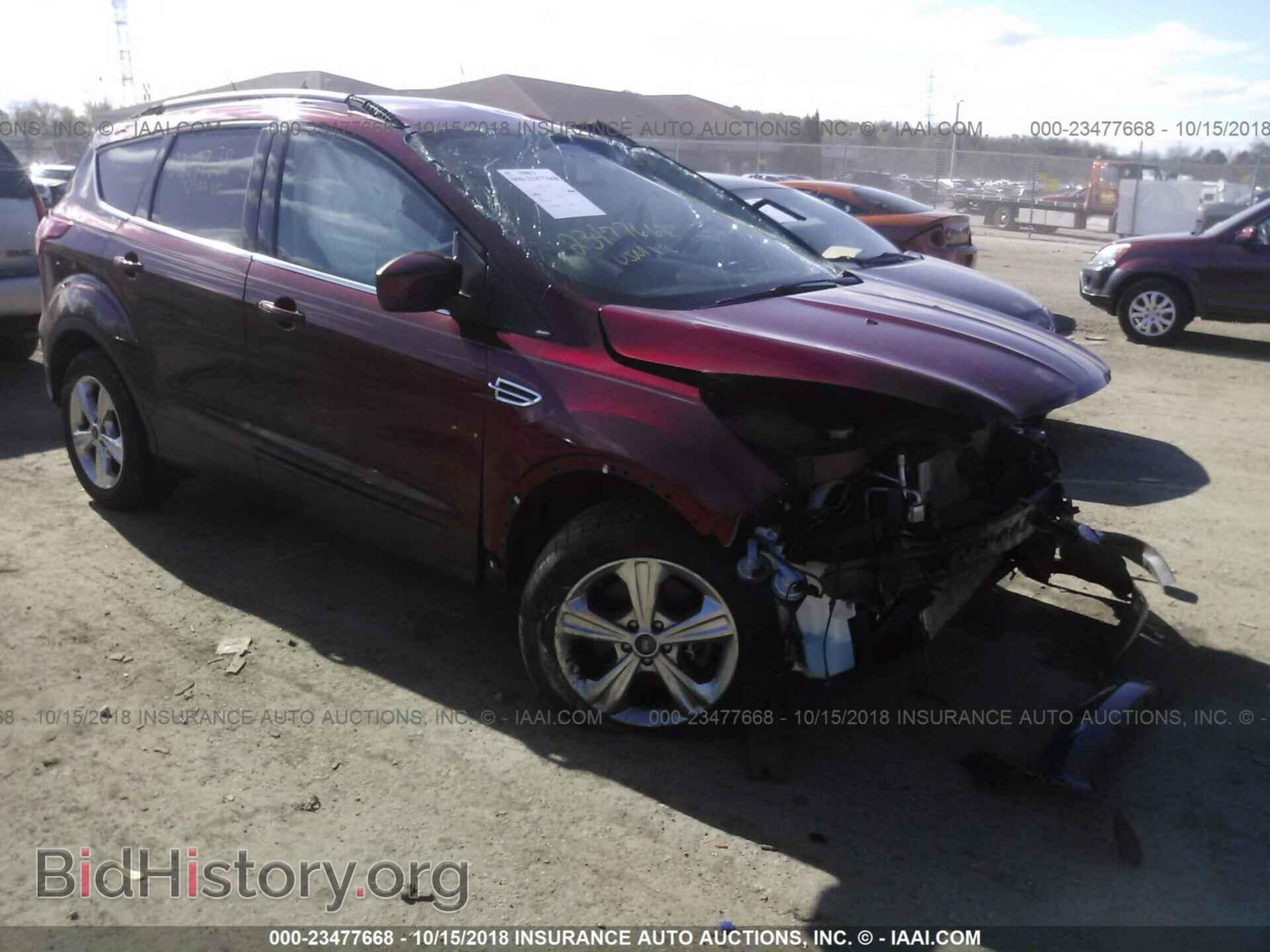 Фотография 1FMCU0G98DUA84486 - Ford Escape 2013